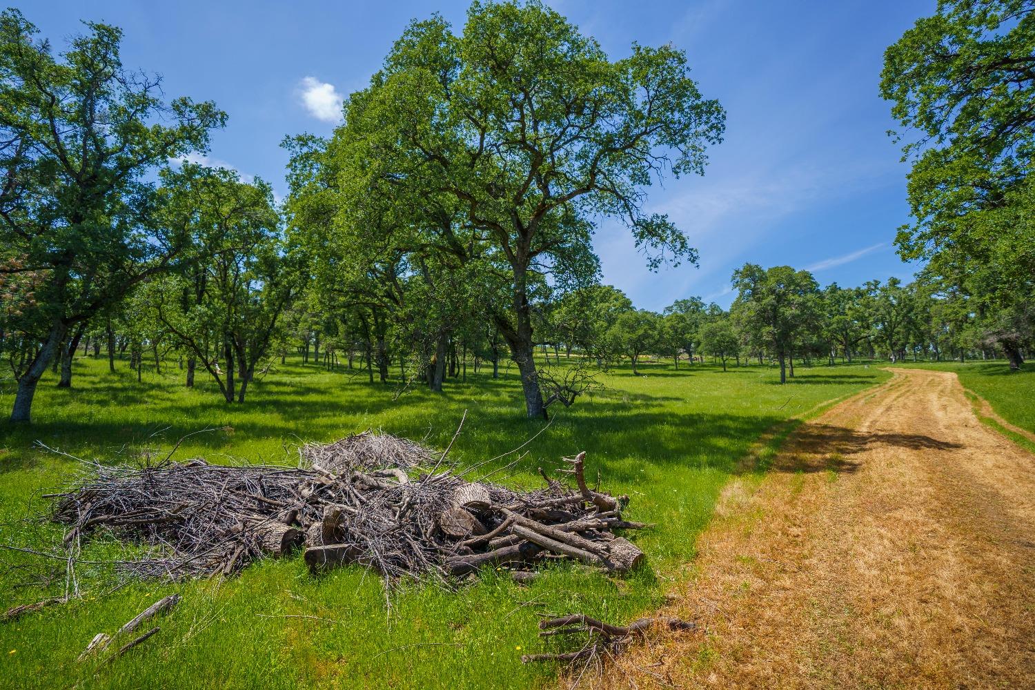 Lincoln, California, 95648, United States, ,Land,For Sale,1784125