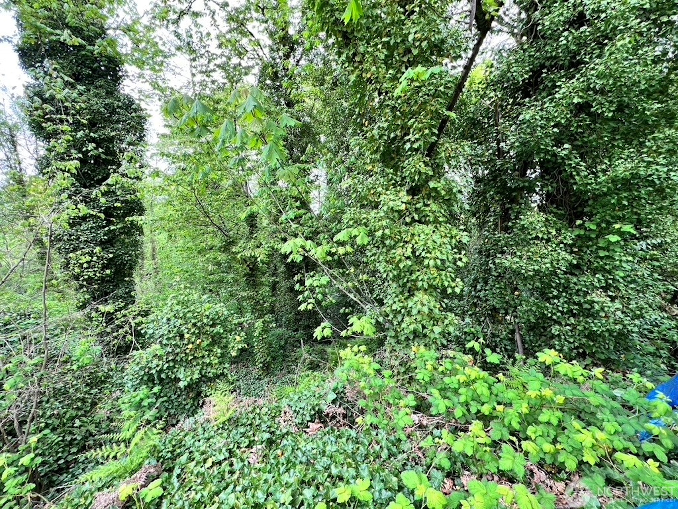  Unique Opportunity in Tukwila - 物件實景