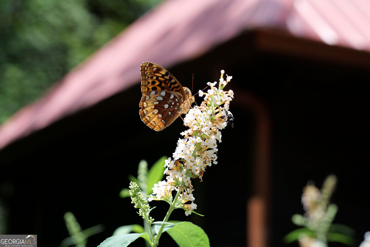Ellijay, Georgia, 30540, United States, 3 Bedrooms Bedrooms, ,4 BathroomsBathrooms,Residential,For Sale,1952403