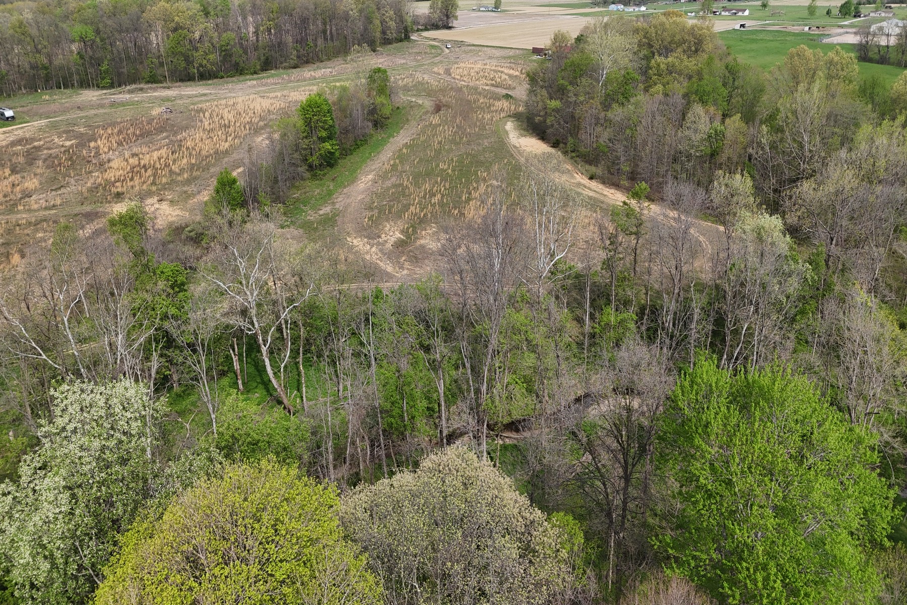  Expansive 56 Acre Property Ready For Your Dream Home - 物件實景