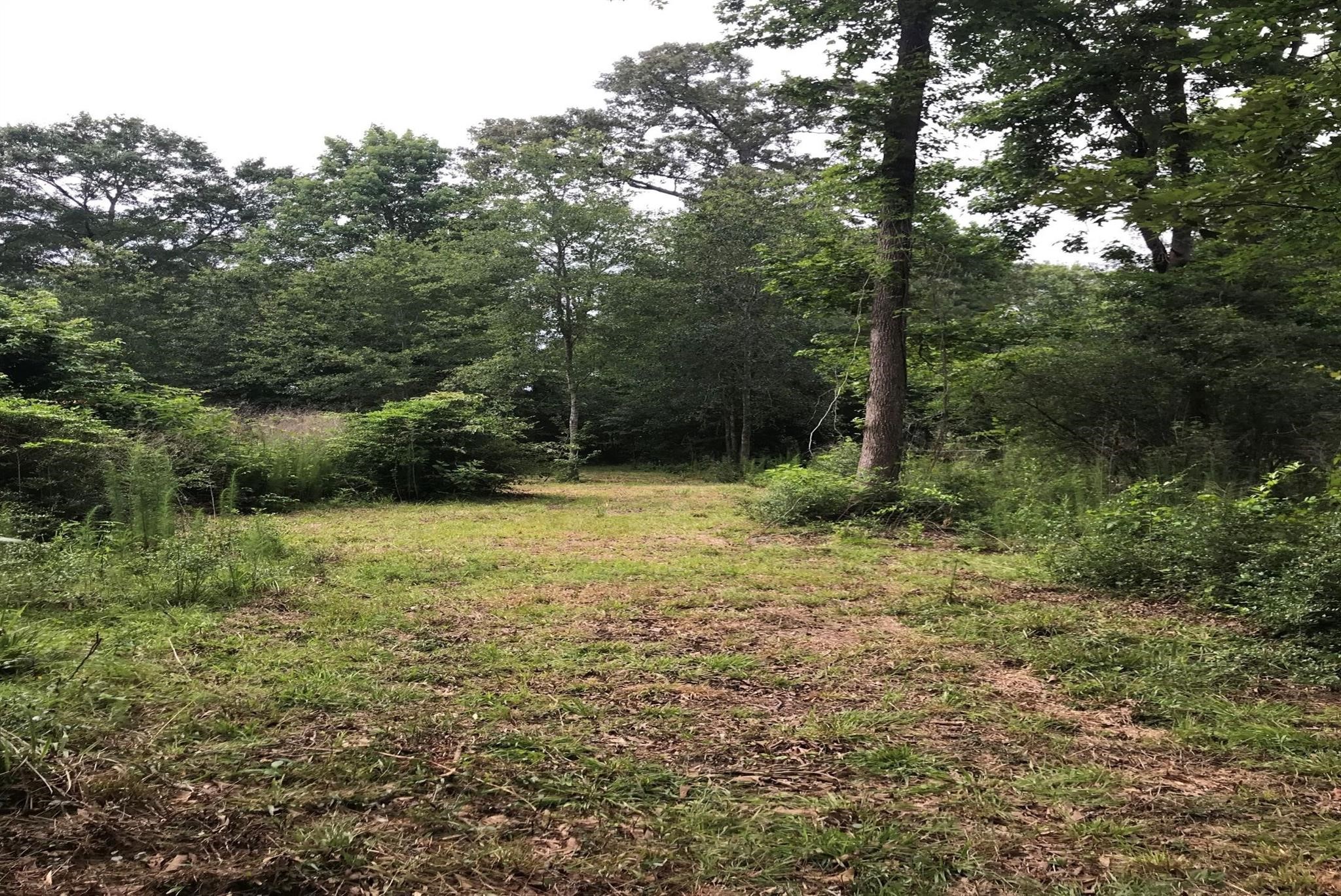 Magnolia, Texas, 77355, United States, ,Land,For Sale,1896028