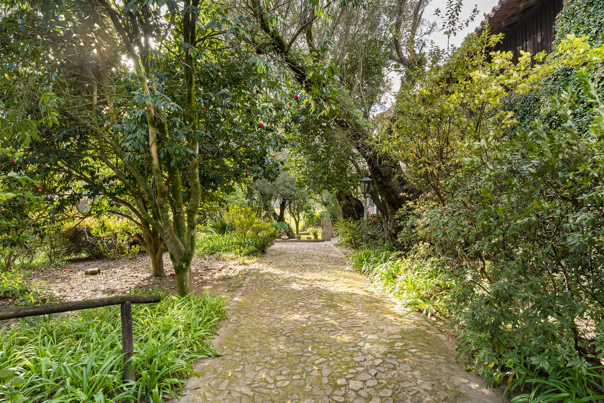 Farm, 6 bedrooms, for Sale - 物件實景