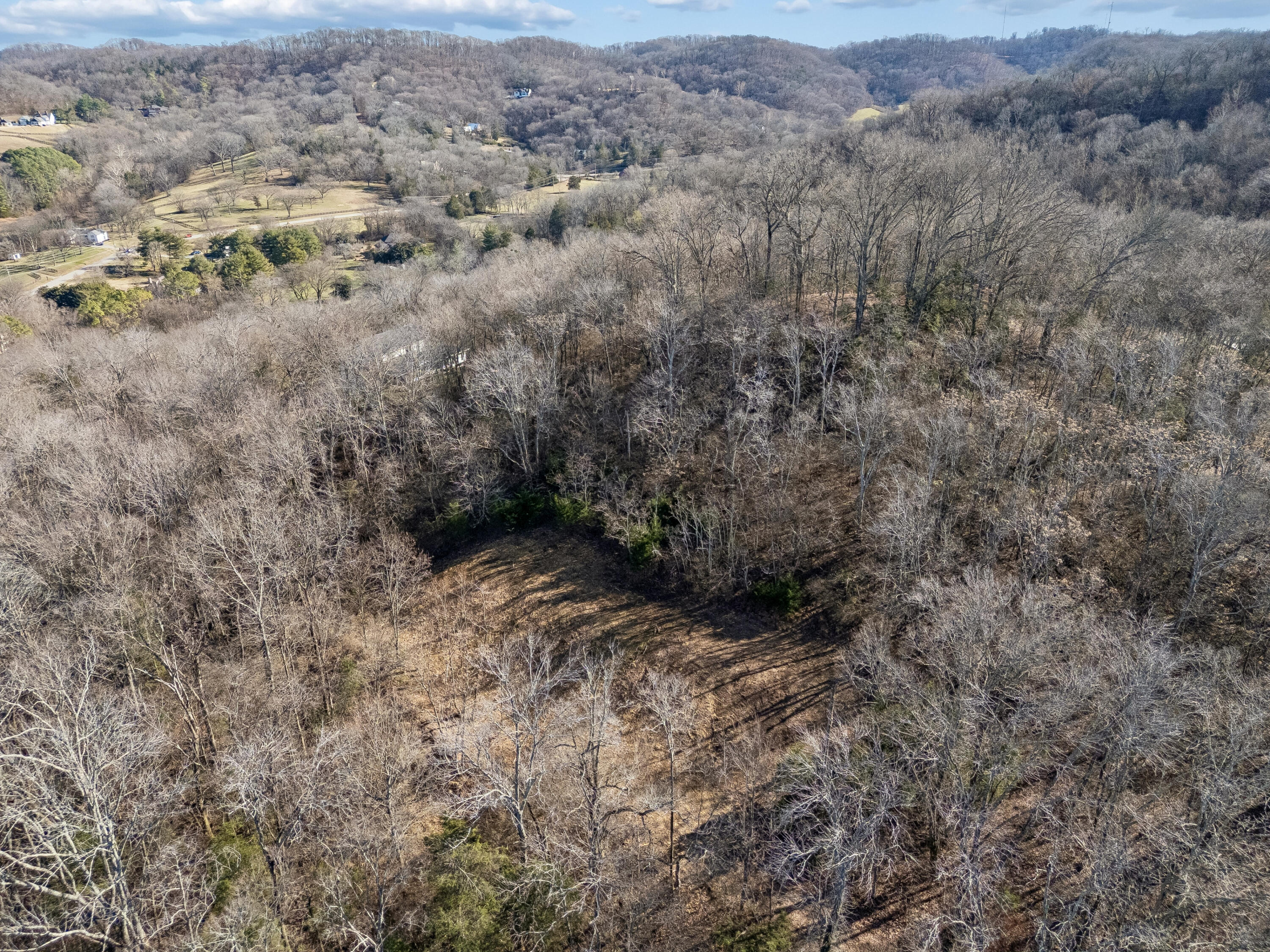 Brentwood, Tennessee, 37027, United States, ,Land,For Sale,2005446