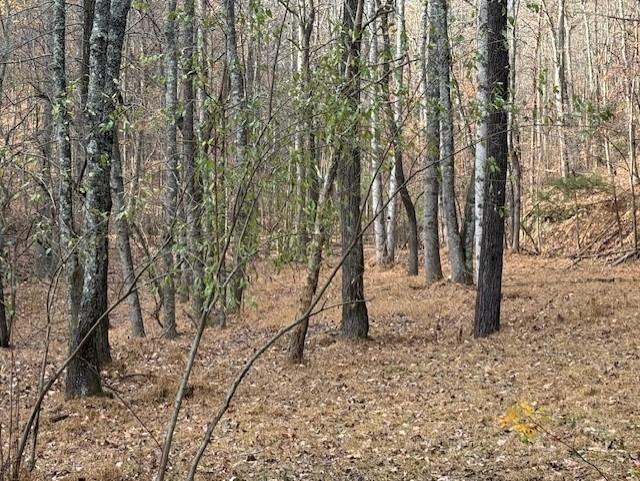 Talking Rock, Georgia, 30175, United States, ,Land,For Sale,1995157