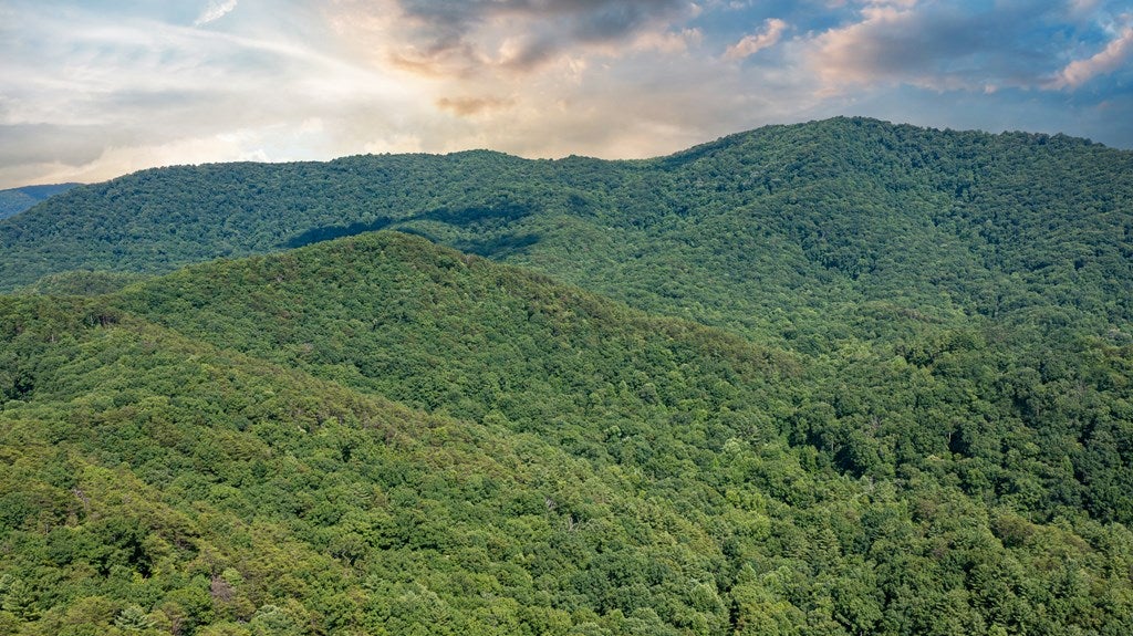 Cherry Log, Georgia, 30522, United States, ,Land,For Sale,1858995