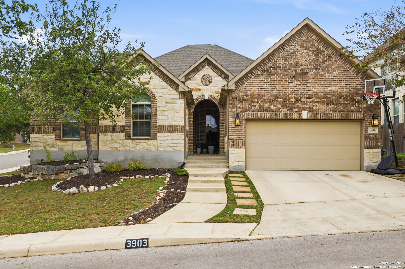 Firebush , San Antonio, TX 78261