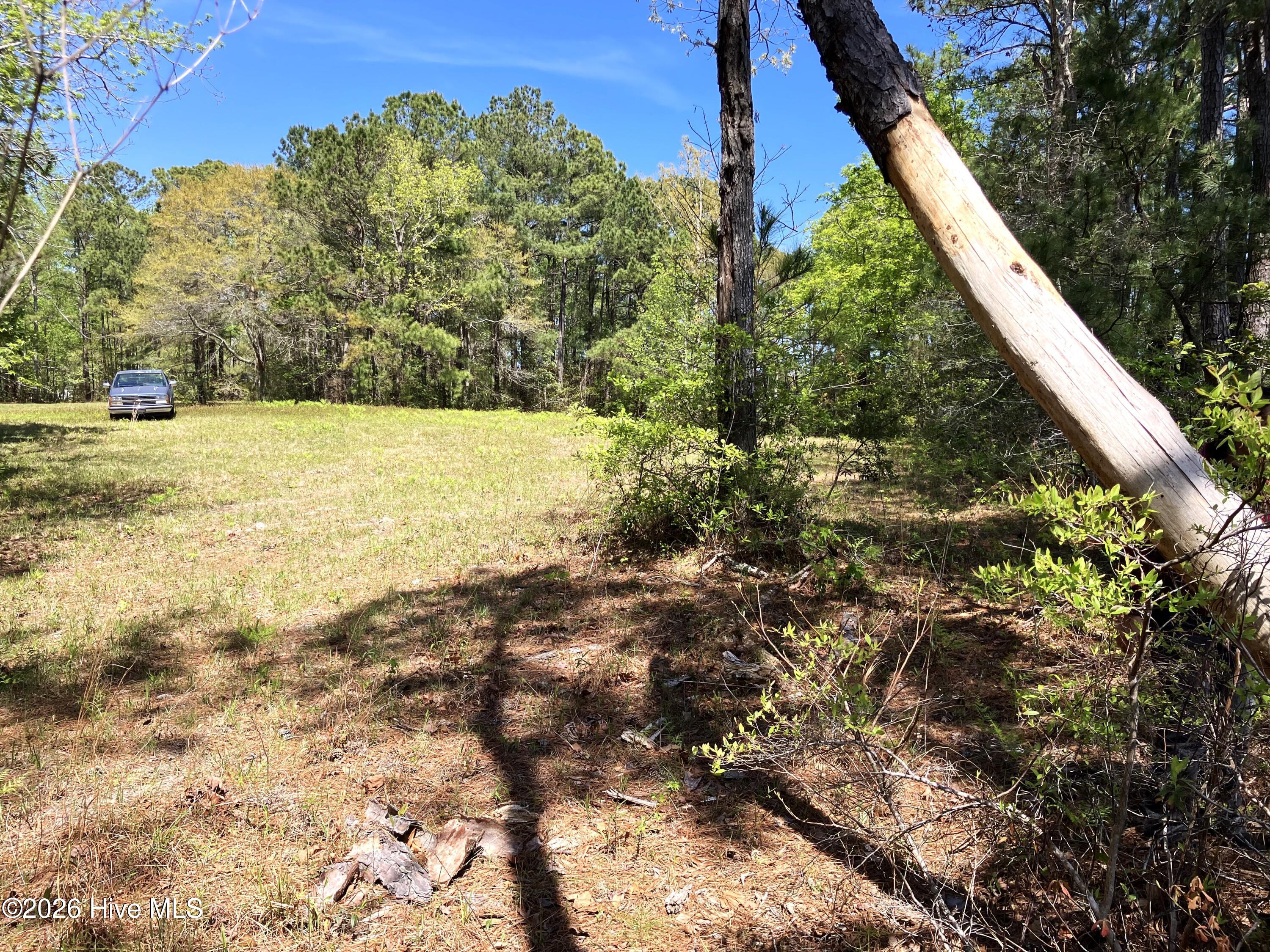 Havelock, North Carolina, 28532, United States, ,Land,For Sale,2035348