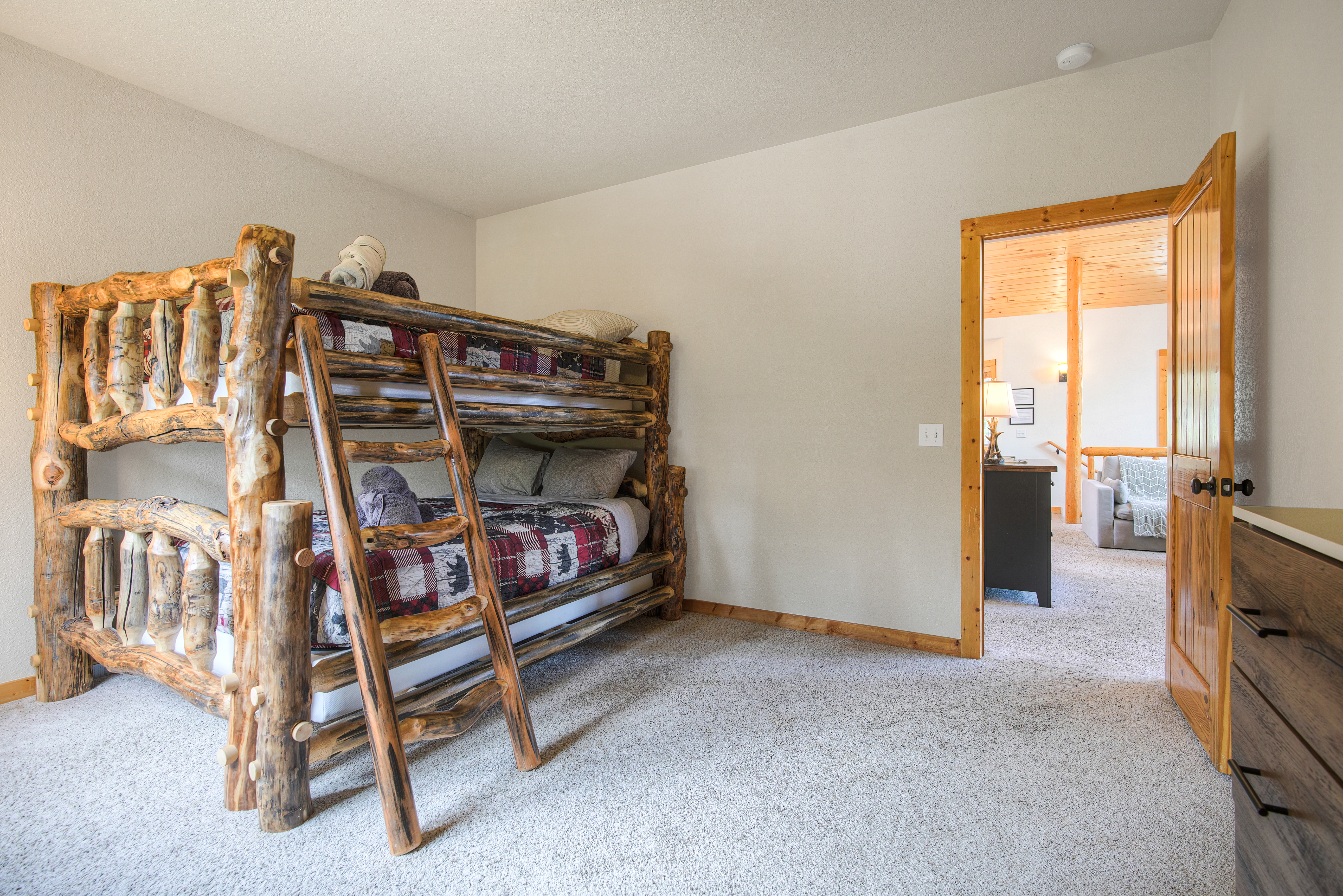  272 Porcupine Road, Fairplay, CO 80440 - 物件實景