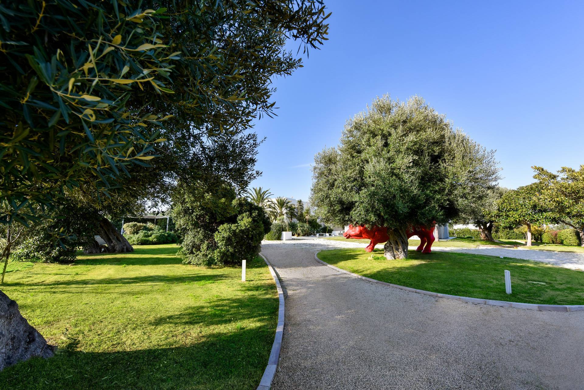 Contrada Lamandia, Monopoli, Bari, 70043, IT, 3 Bedrooms Bedrooms, ,5 BathroomsBathrooms,Residential,For Sale,Contrada Lamandia,1612218