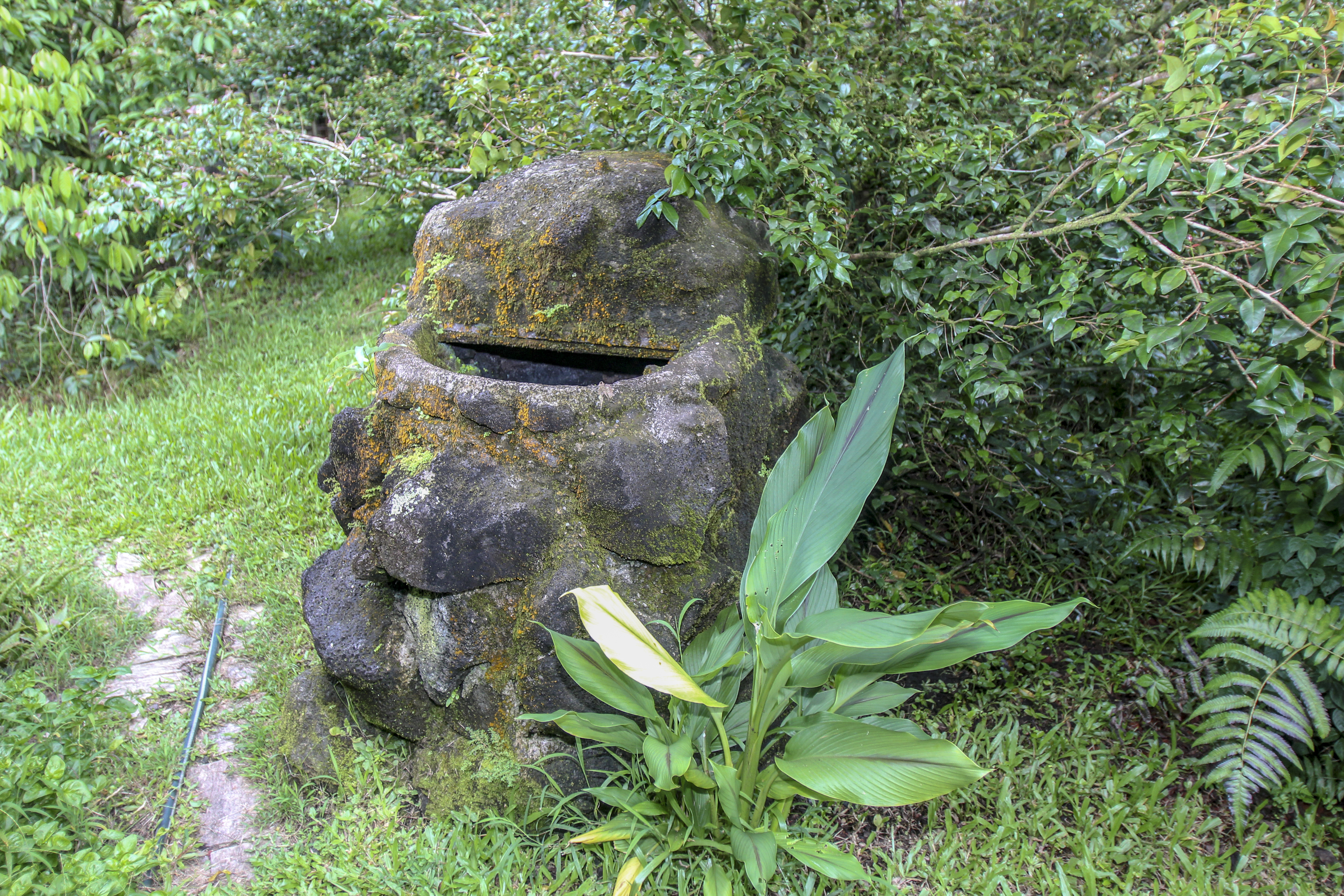  16-1517 Poouli Rd, Kurtistown, HI, 96760 - 物件實景