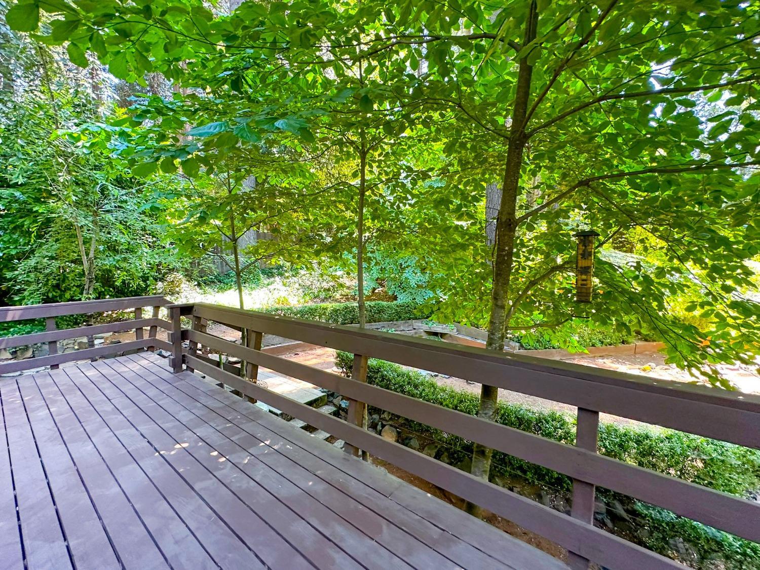 Nevada City, California, 95959, United States, 3 Bedrooms Bedrooms, ,2 BathroomsBathrooms,Residential,For Sale,1988605