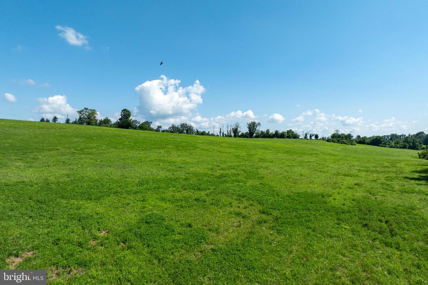 CHESTER SPRINGS, Pennsylvania, 19425, United States, ,Land,For Sale,2002840