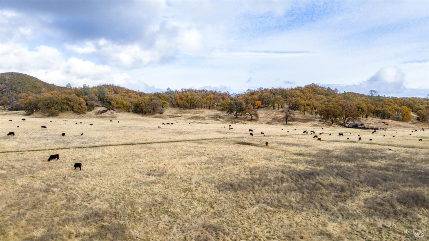 Lower Lake, California, 95457, United States, ,Land,For Sale,1976716