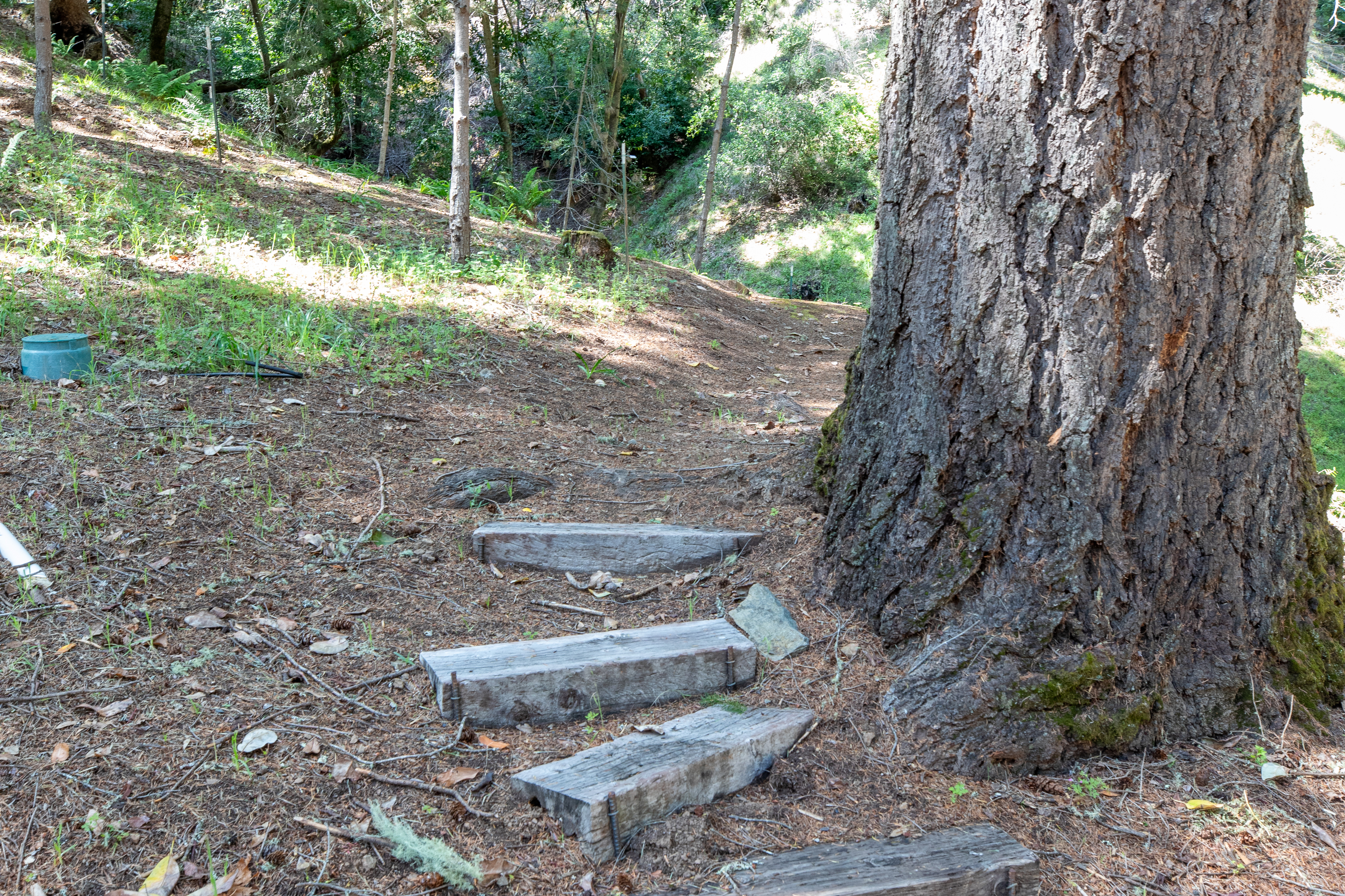  18900 Armstrong Woods Road, Guerneville, CA 95446 - 物件實景