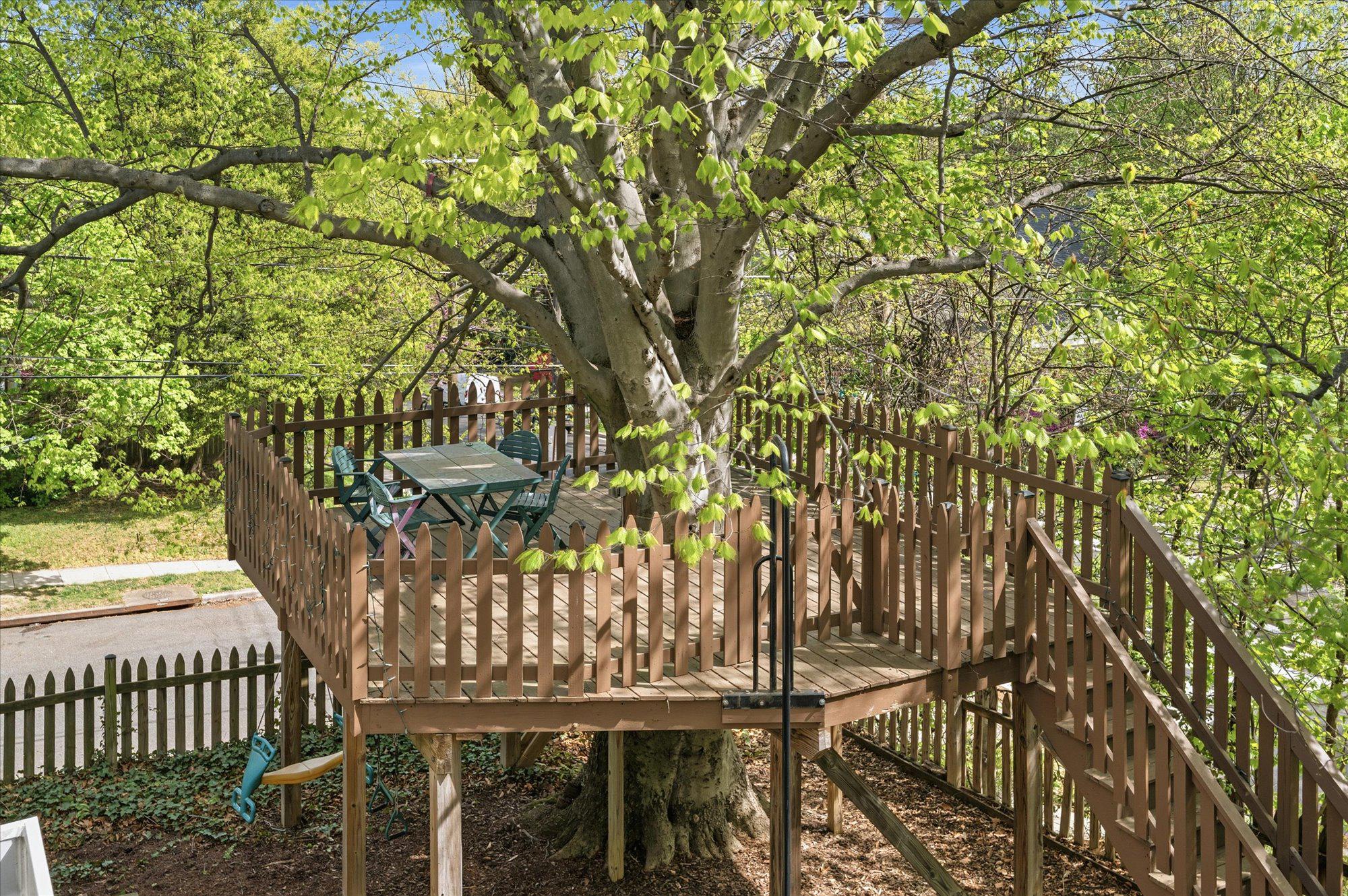  3800 Alton Place NW, Washington, DC, 20016 - 物件實景