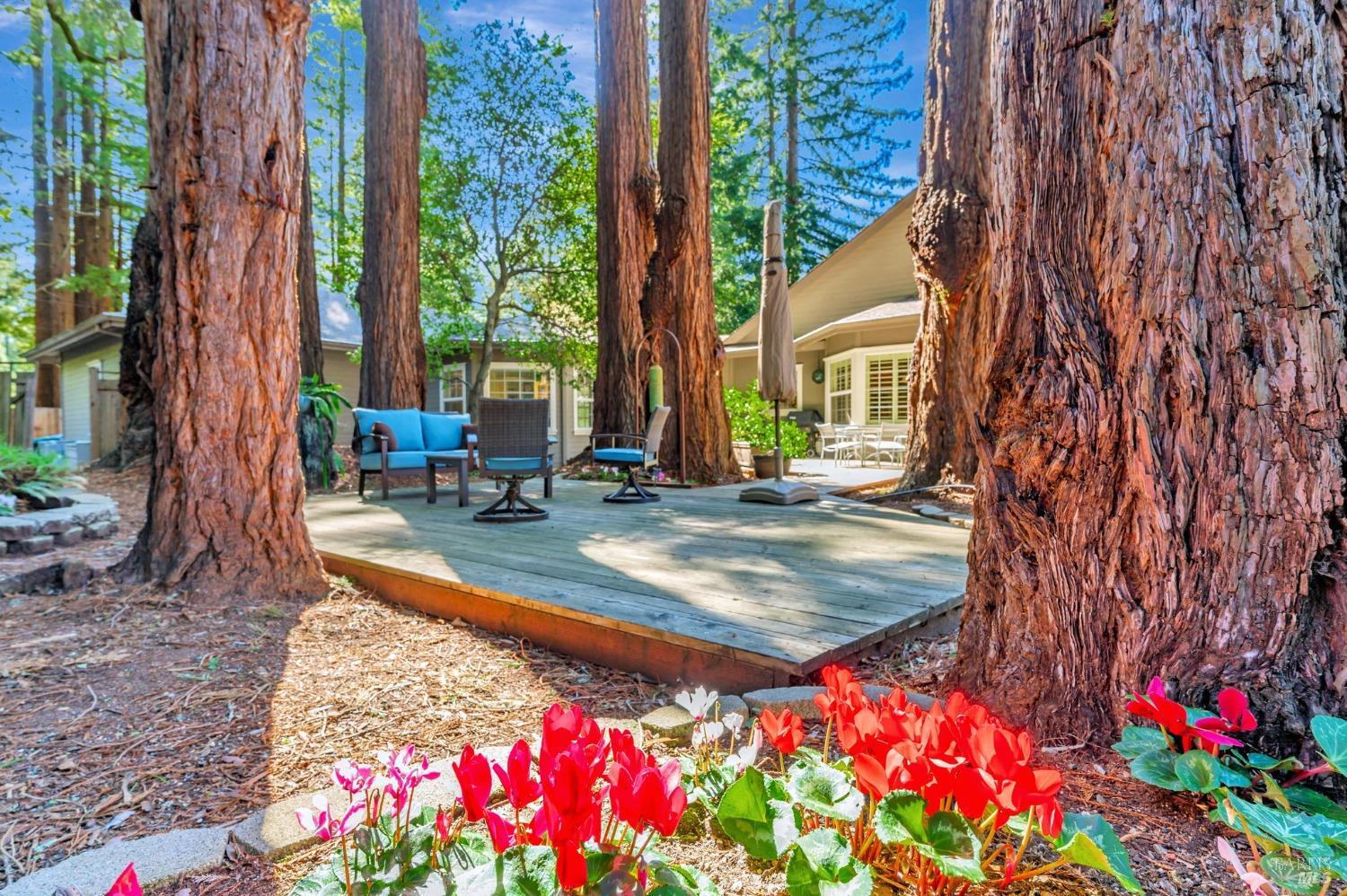 Sebastopol, California, 95472, United States, 4 Bedrooms Bedrooms, ,3 BathroomsBathrooms,Residential,For Sale,1989317