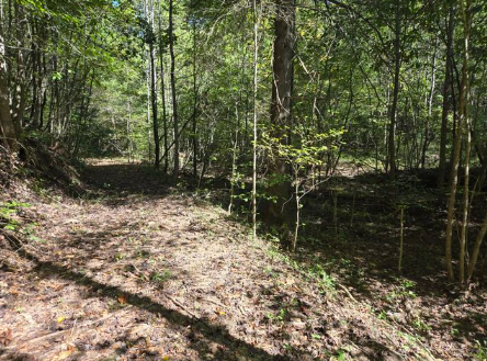 London, Kentucky, 40741, United States, ,Land,For Sale,1982608