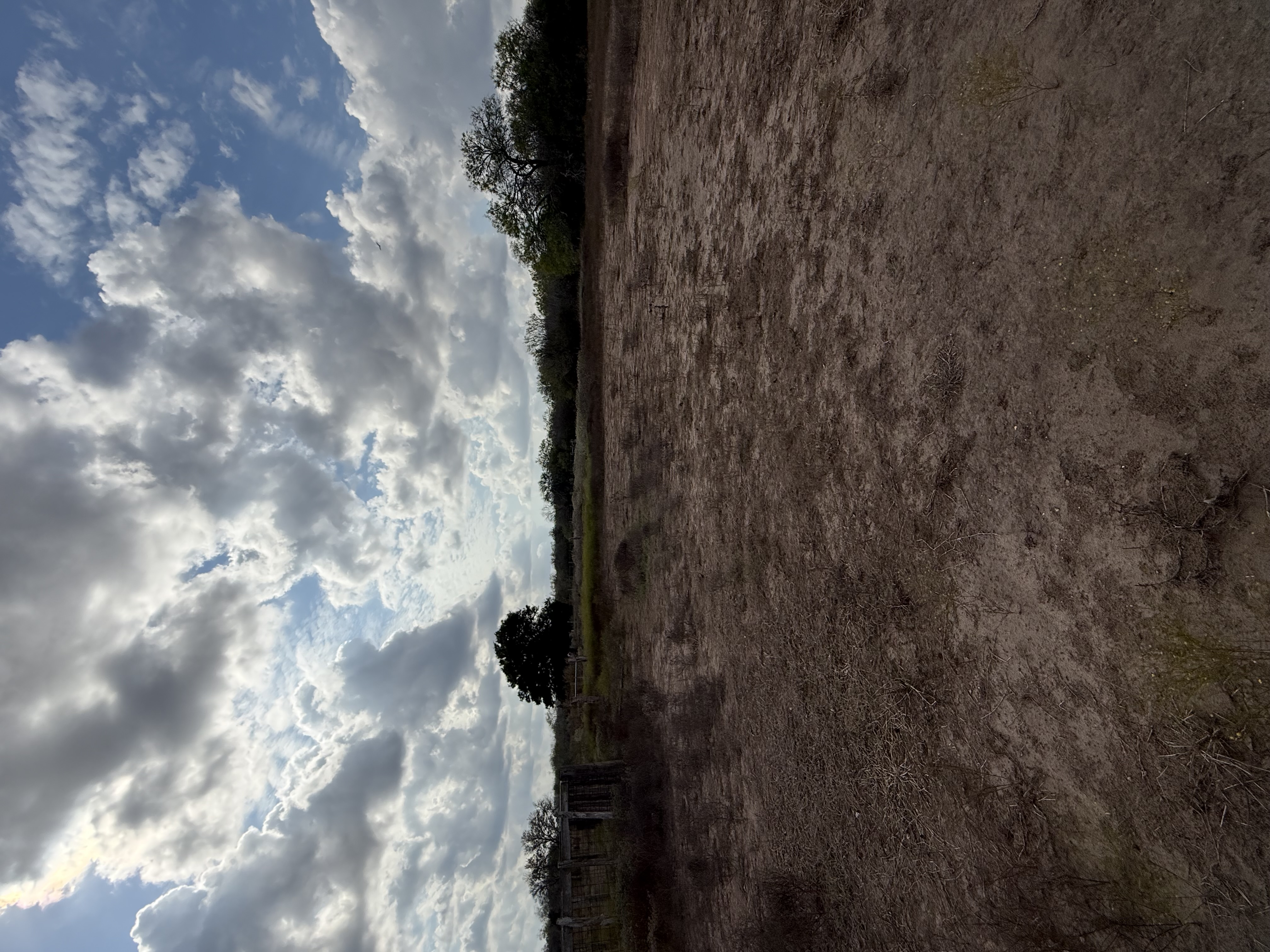 Runge, Texas, 78151, United States, ,Residential,For Sale,1996631