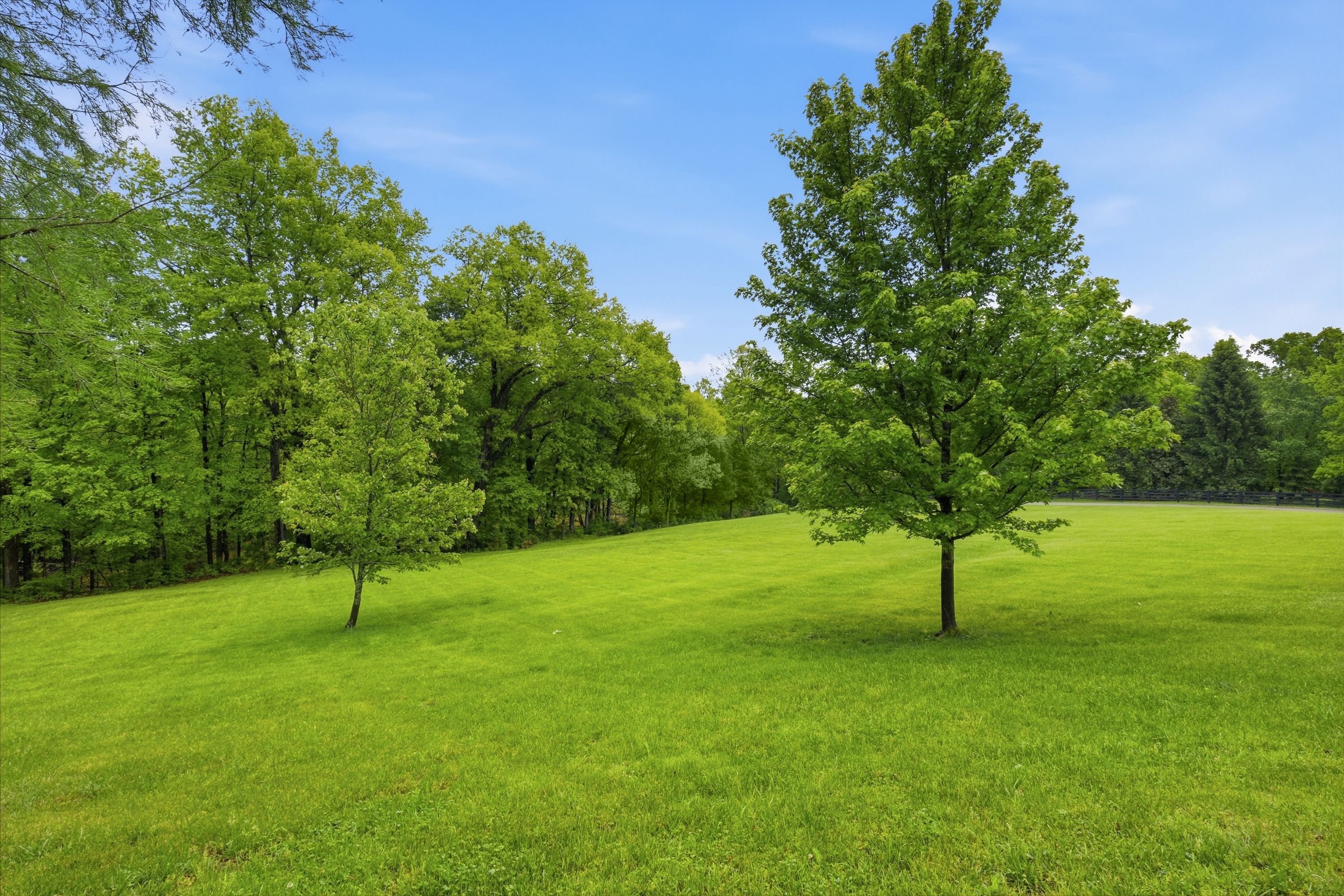  16900 Homestead Trce, Fisherville, KY 40023 - 物件實景
