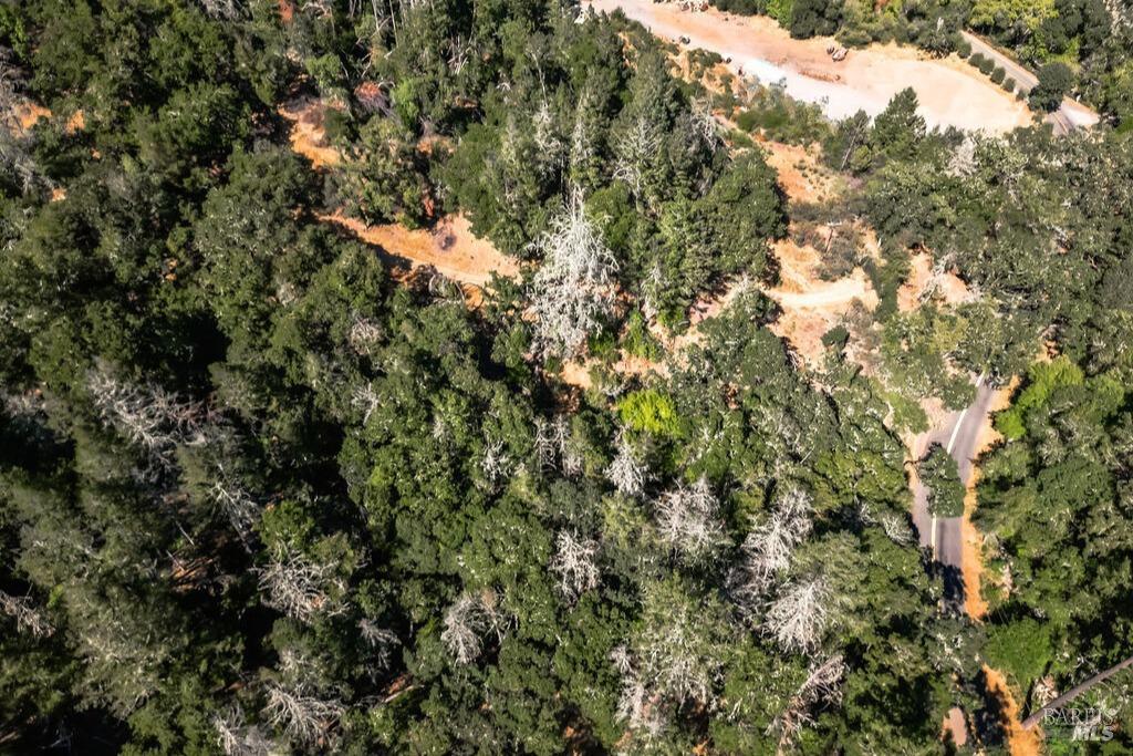 St. Helena, California, 94574, United States, ,Residential,For Sale,1846631