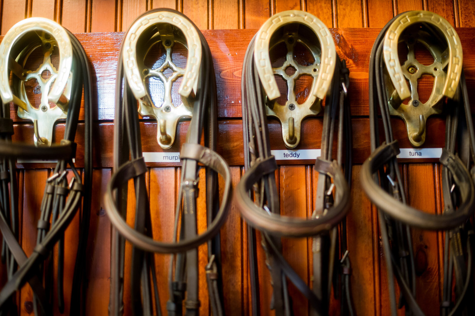 Green Oaks, Illinois, 60048, United States, ,Land,For Sale,1980165