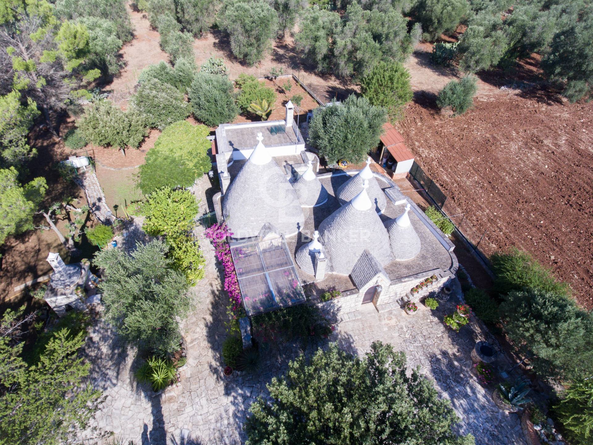 San Michele Salentino, Brindisi, 72018, IT, 3 Bedrooms Bedrooms, ,2 BathroomsBathrooms,Residential,For Sale,1847397