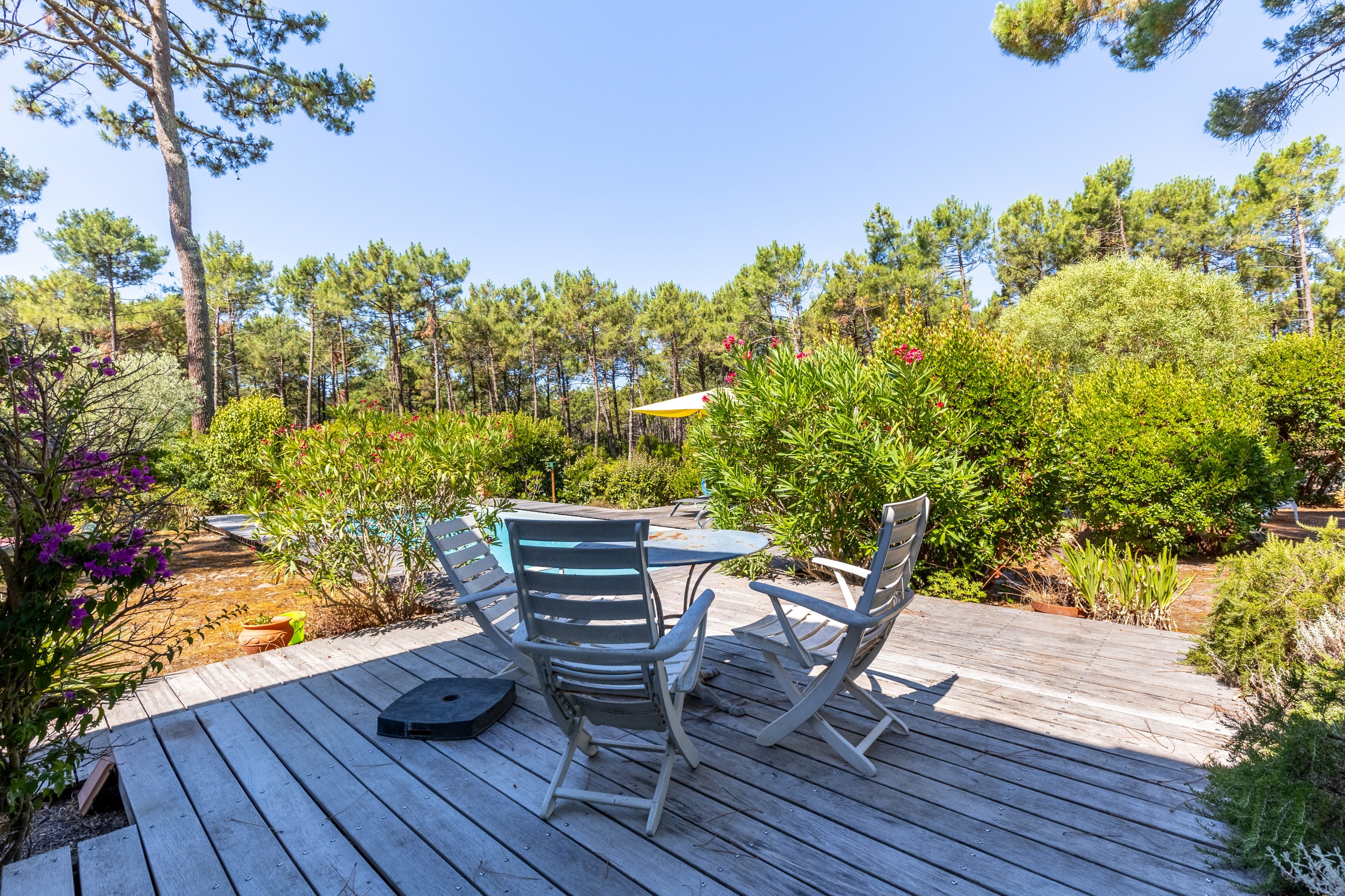  LA VIGNE – FAMILY VILLA - 物件實景