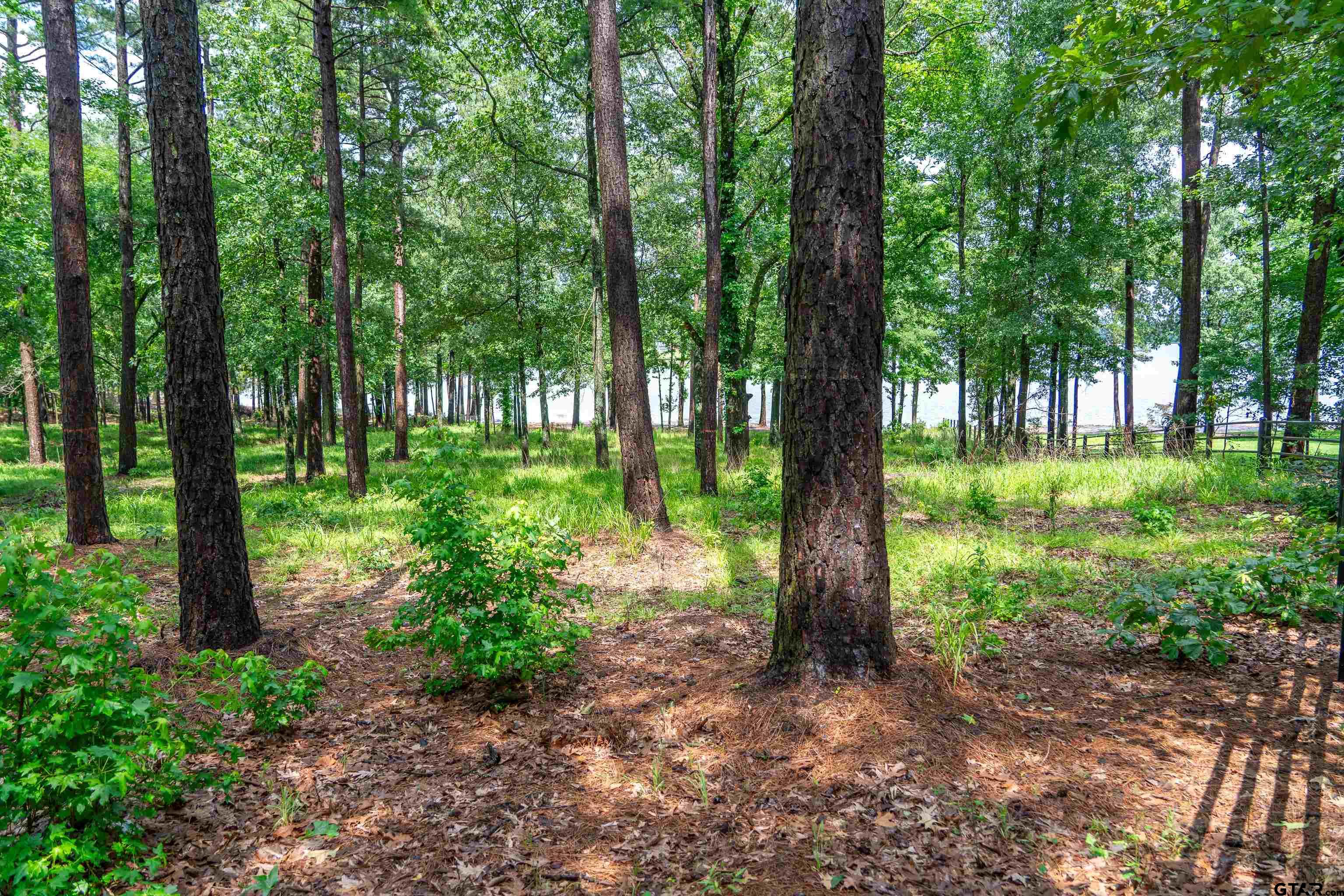 Scroggins, Texas, 75480, United States, ,Land,For Sale,1975863