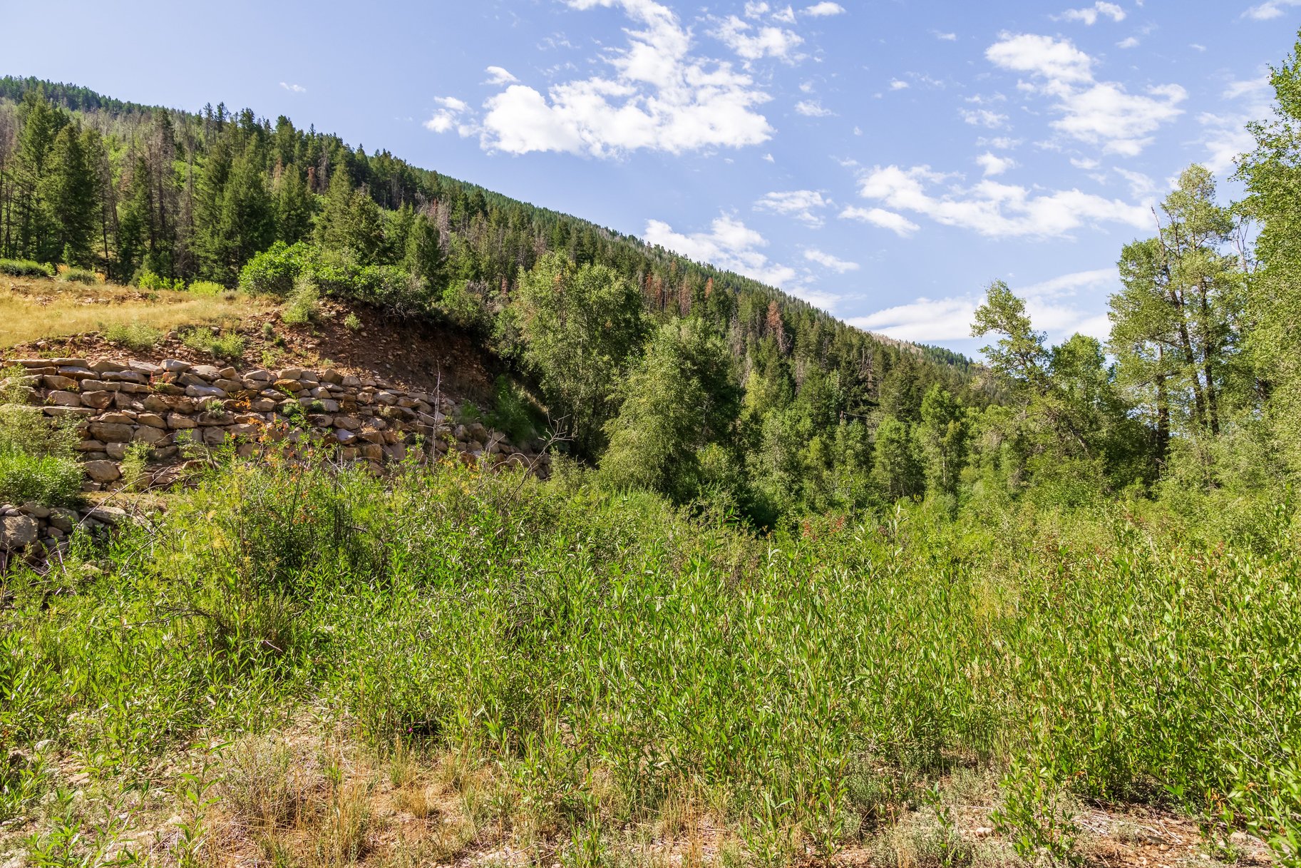  Rare Weber River Frontage Homesite - 物件實景