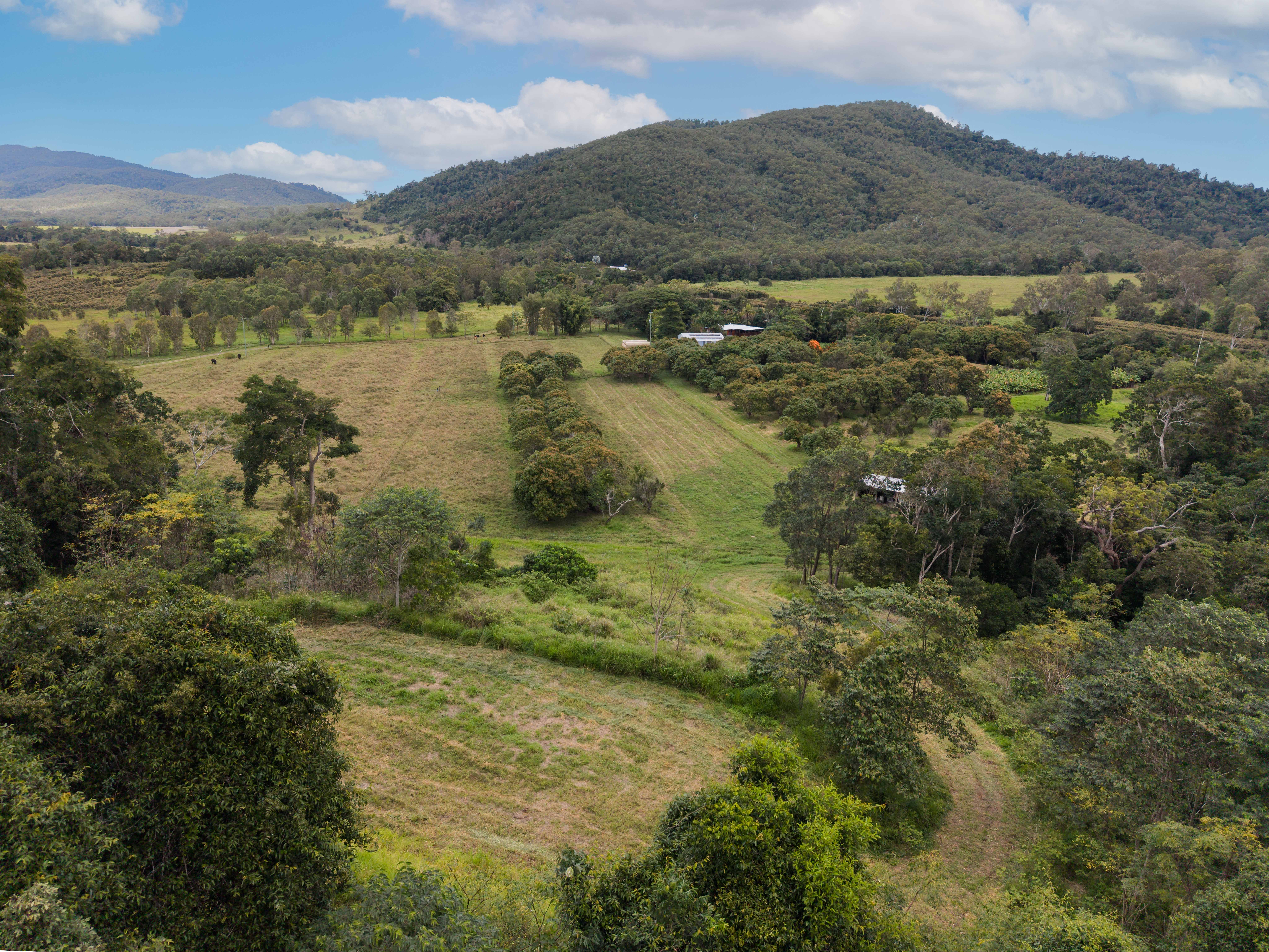  580 Saltwater Creek Road, Palm Grove - 物件實景