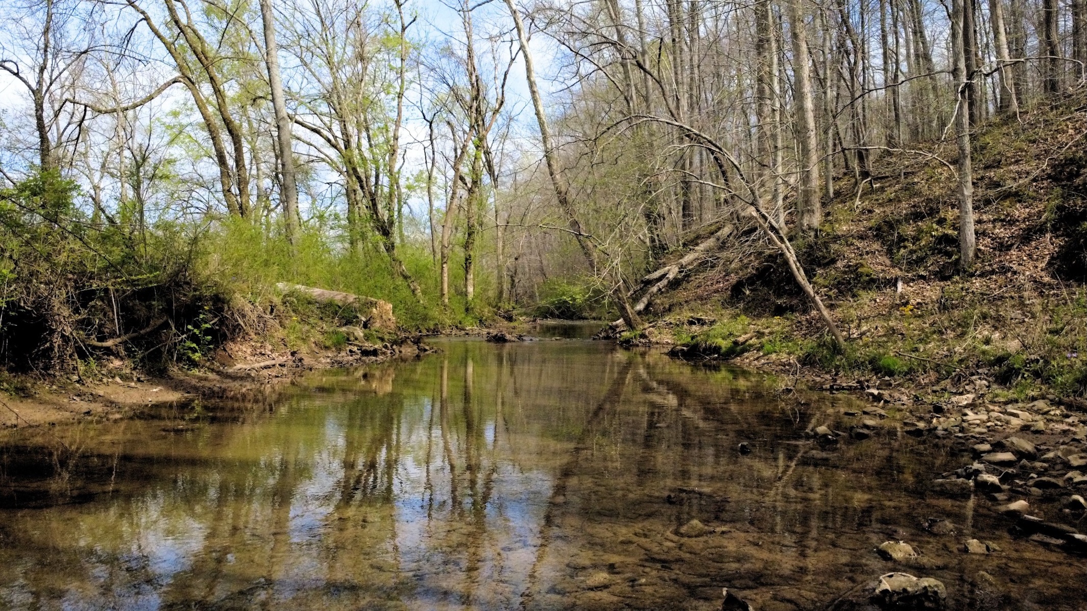  293 E Piney Rd, Dickson, TN, 37055 - 物件實景