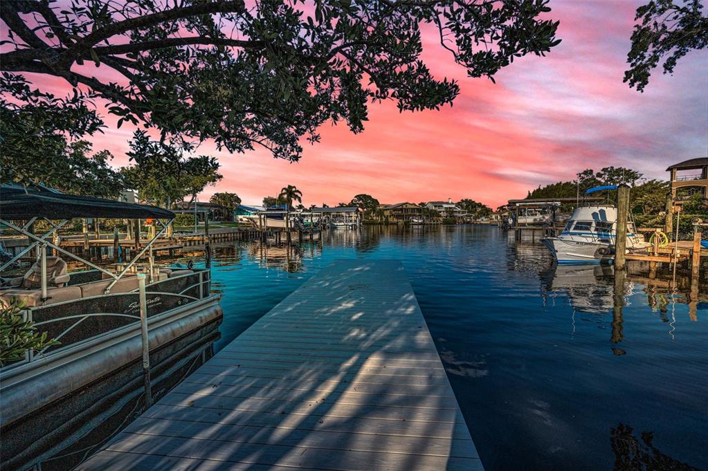 Palm Harbor, Florida, 34683, United States, ,Land,For Sale,1779220