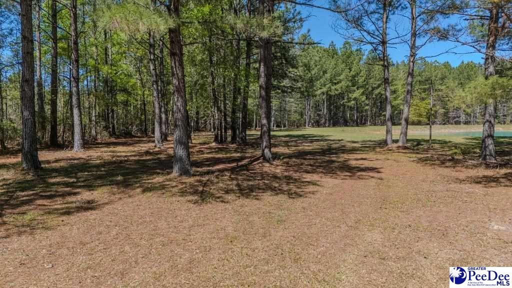 1315 Hill Harrell Road, Effingham, South Carolina, 29541-3179, United States, ,Land,For Sale,1315 Hill Harrell Road,1501598