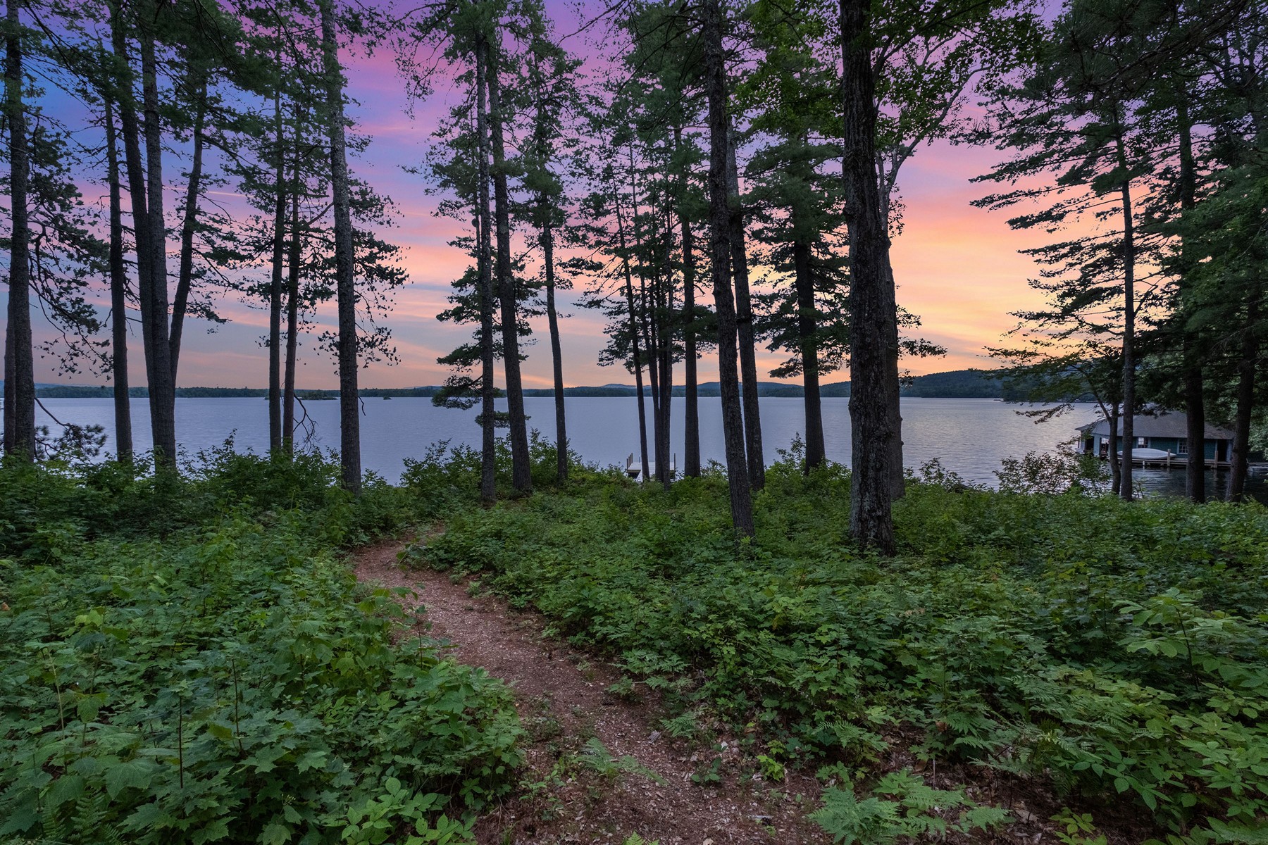  294 Pinehurst Road - 物件實景