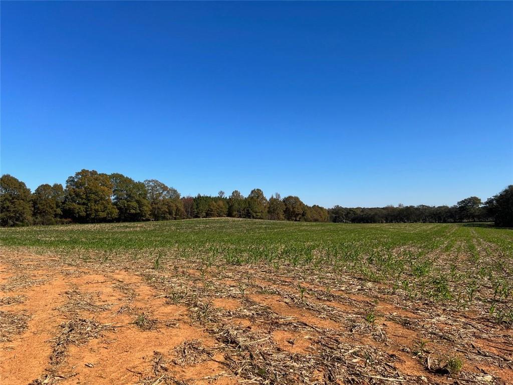 Taylorsville, Georgia, 30178, United States, ,Land,For Sale,1795283