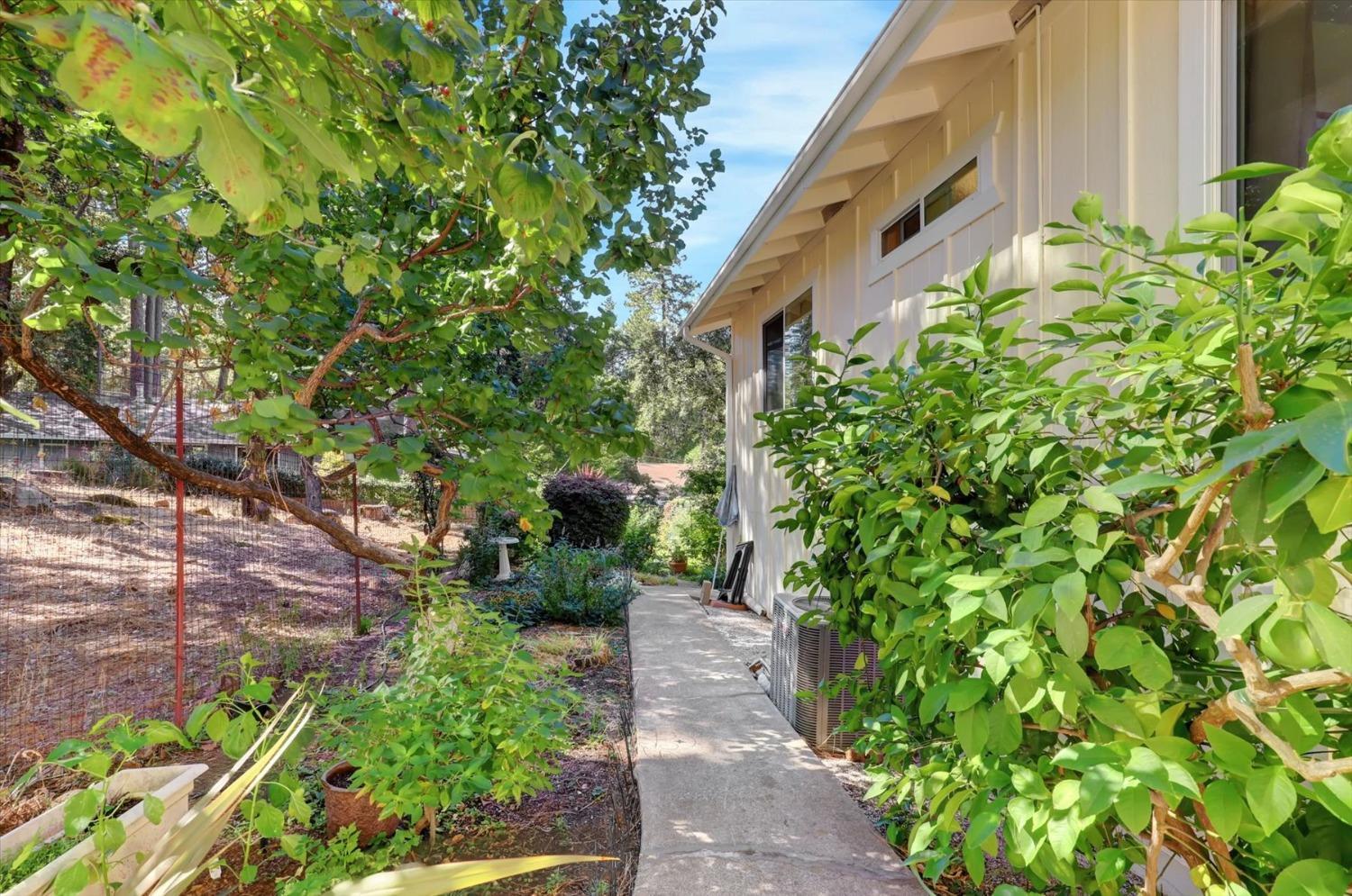 12252 Francis Drive, Grass Valley, California, 95949, United States, 3 Bedrooms Bedrooms, ,2 BathroomsBathrooms,Residential,For Sale,12252 Francis Drive,1631801