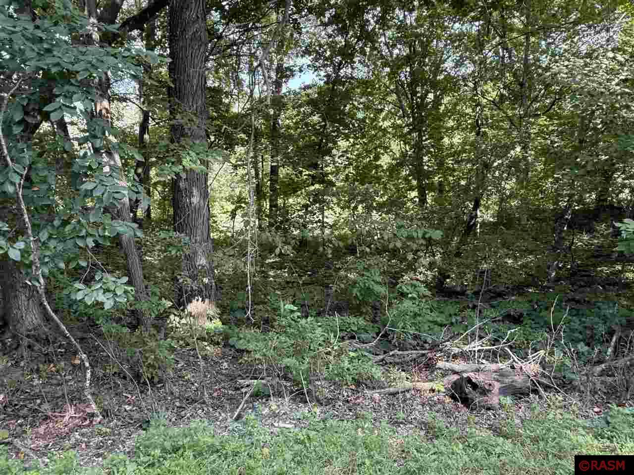 North Mankato, Minnesota, 56003, United States, ,Land,For Sale,1977593