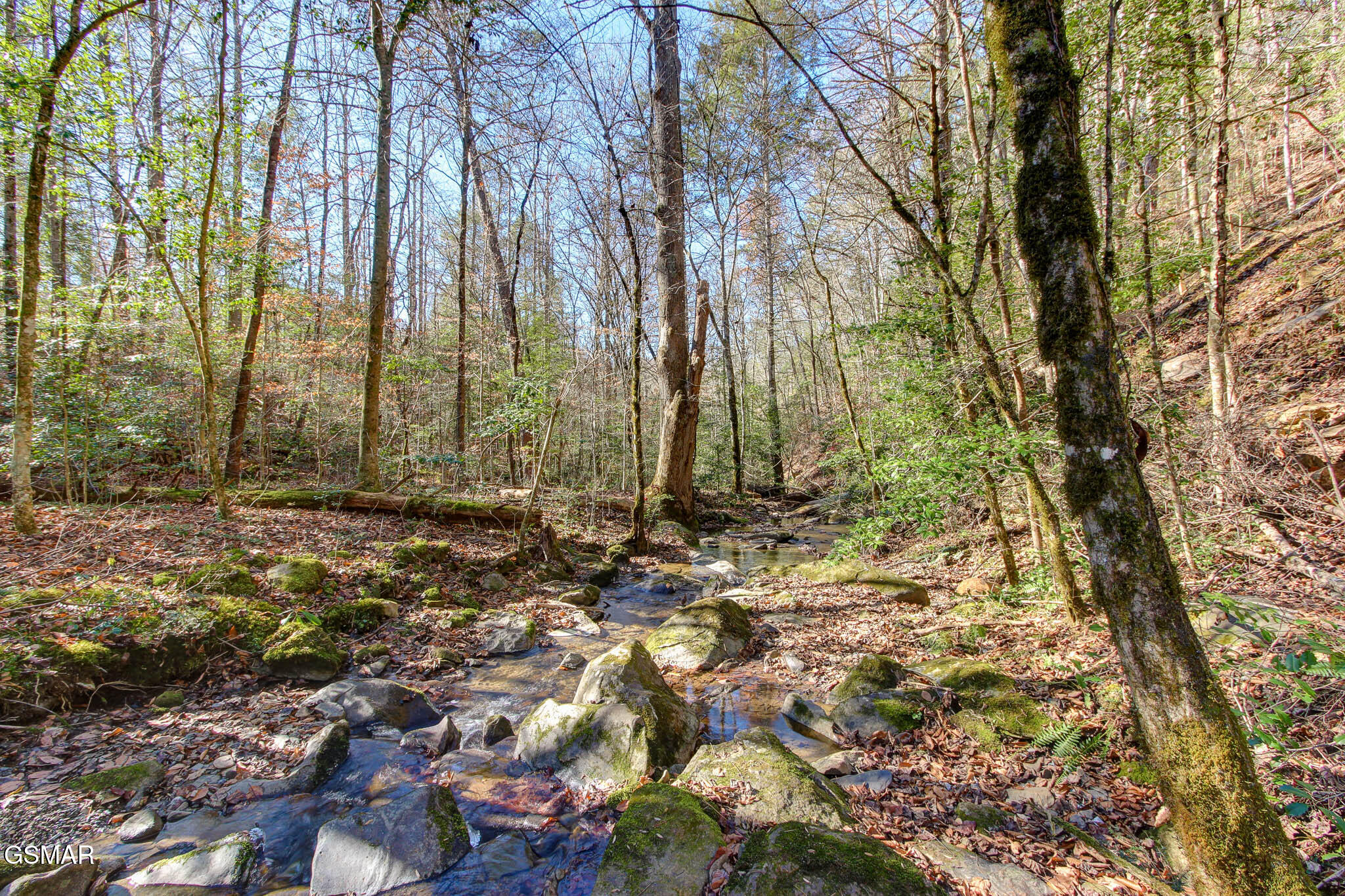 Cosby, Tennessee, 37722, United States, ,Land,For Sale,1978210