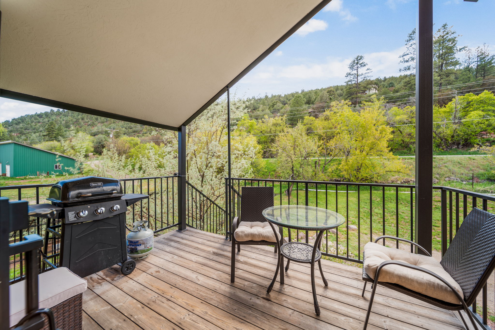  5172 County Road 203, Durango, CO 81301 - 物件實景