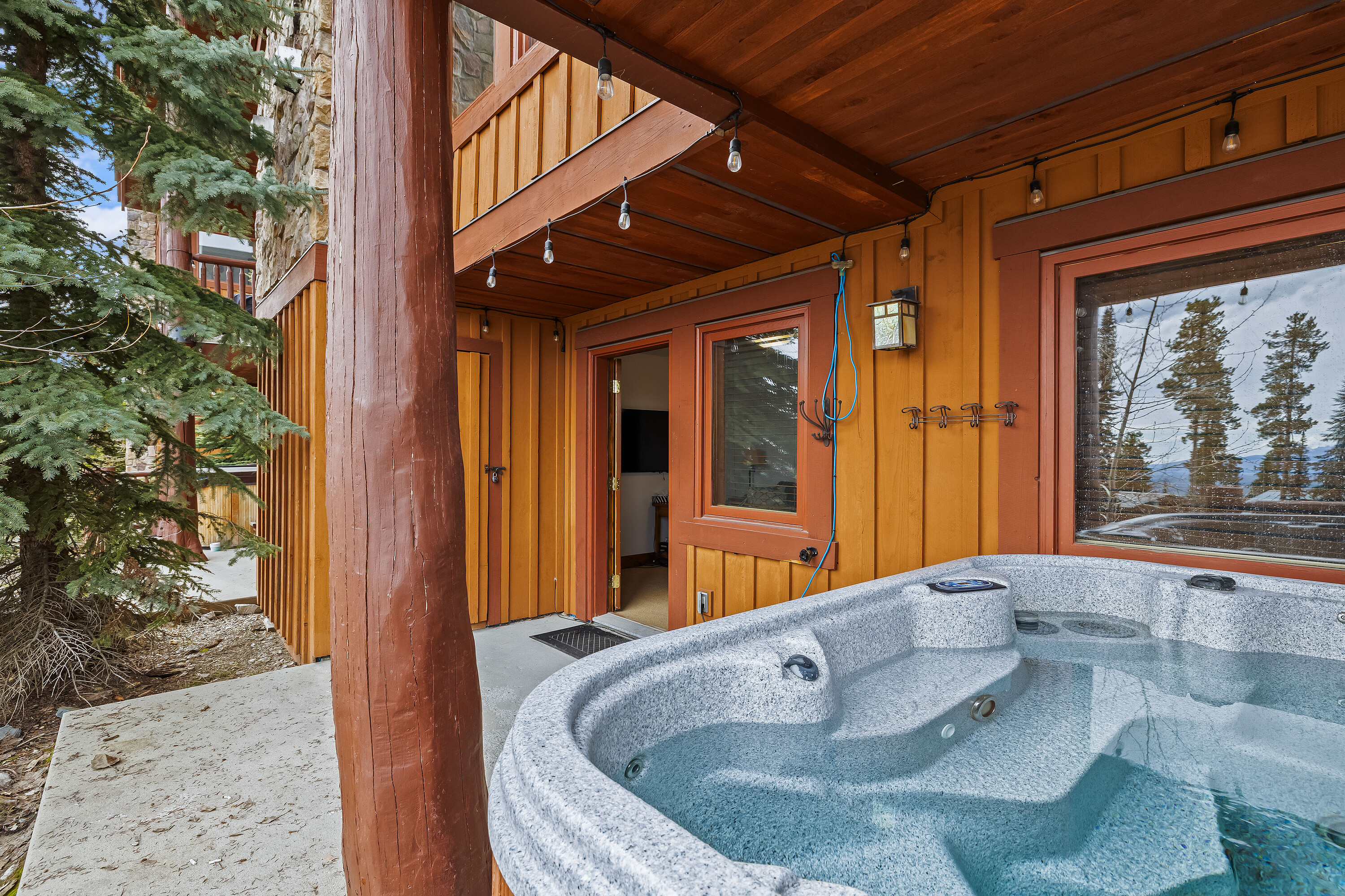  True Ski Chalet Living - 物件實景