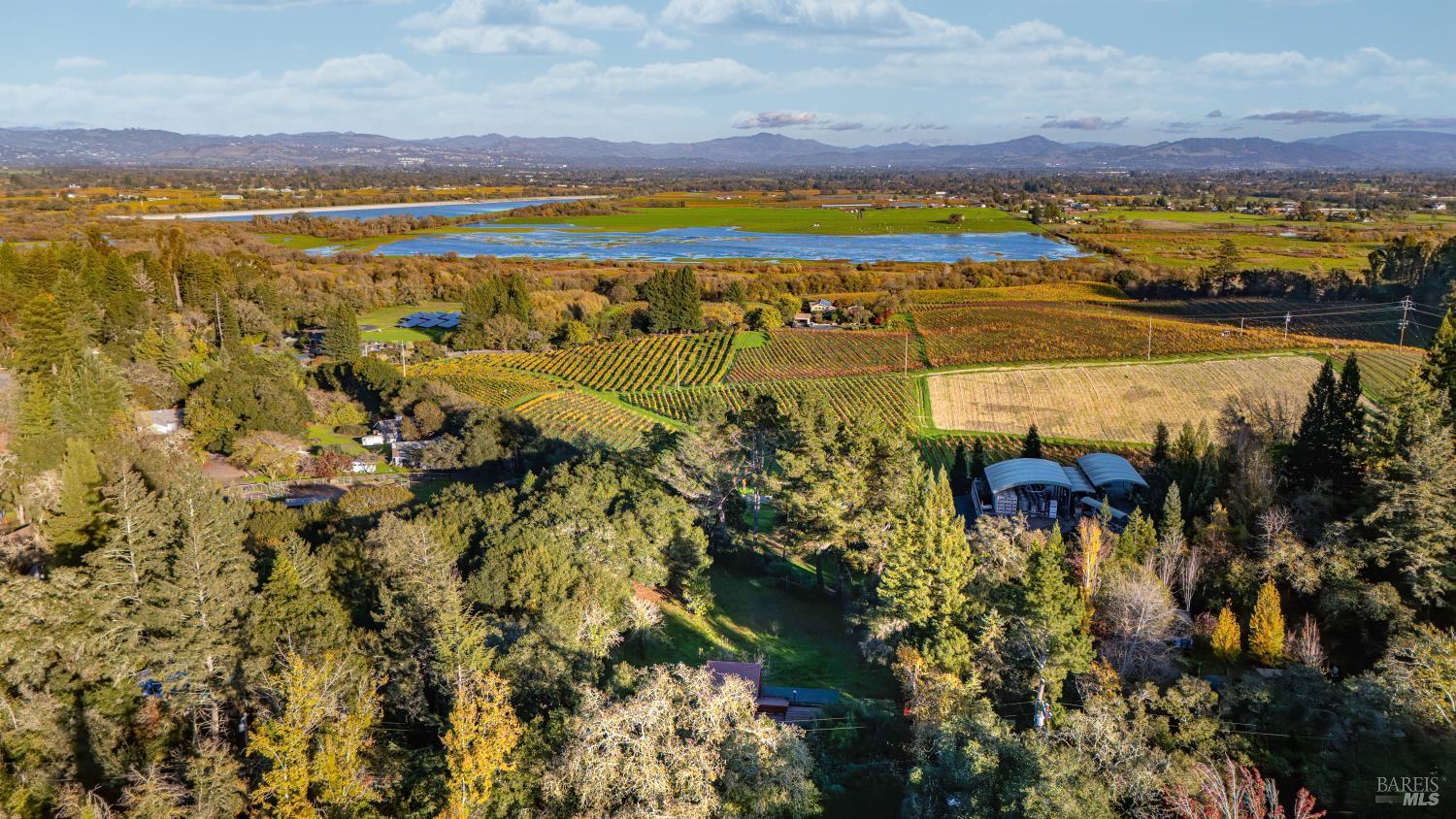 Sebastopol, California, 95472, United States, 3 Bedrooms Bedrooms, ,2 BathroomsBathrooms,Residential,For Sale,1997053