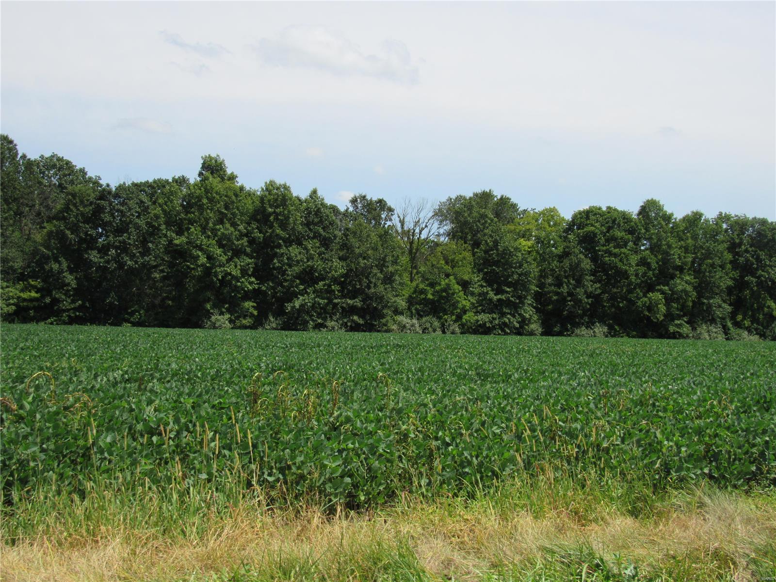 0 Wood Station Road, Alton, Illinois, 62002, United States, ,Residential,For Sale,0 Wood Station Road,1595953