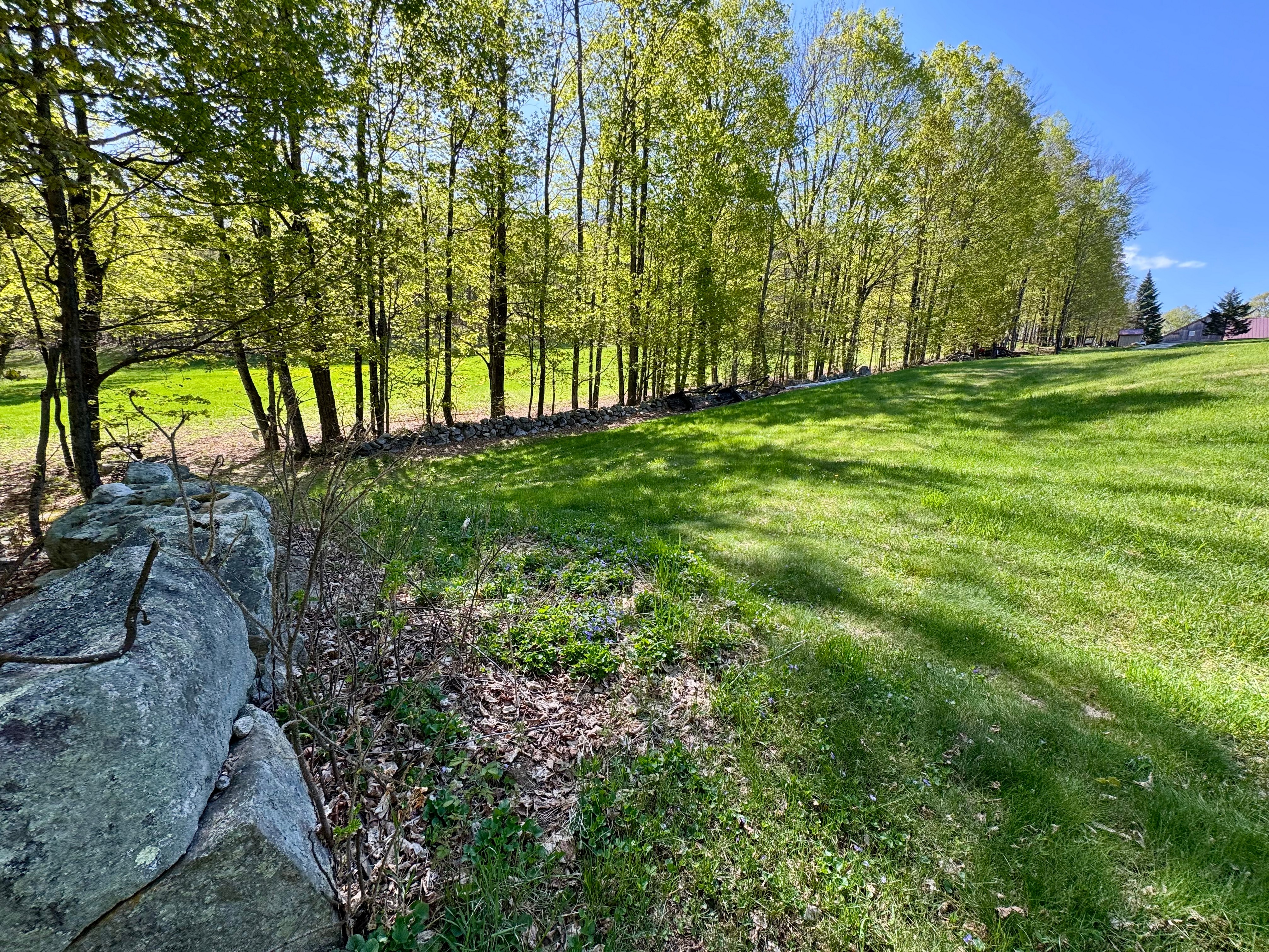  817 Topsham Road - 物件實景