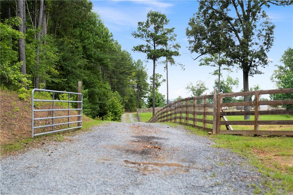 Rome, Georgia, 30165, United States, ,Land,For Sale,1892024
