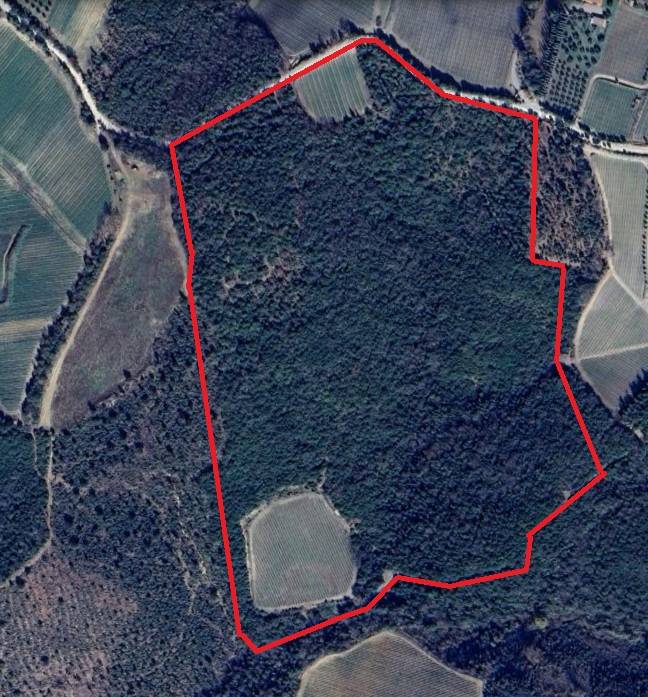 Montalcino, Siena, 53024, IT, ,Residential,For Sale,1991815