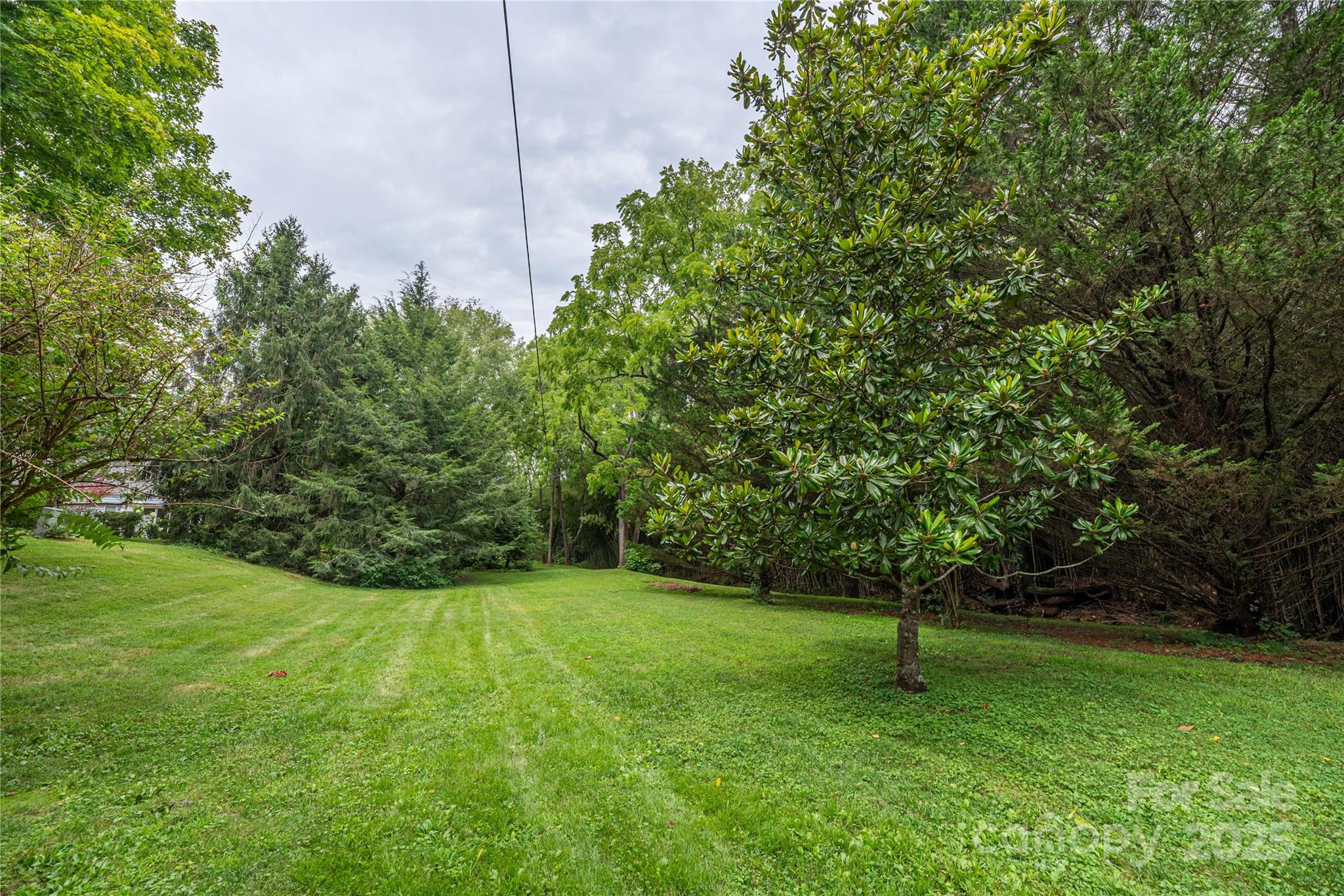 Asheville, North Carolina, 28804, United States, 3 Bedrooms Bedrooms, ,3 BathroomsBathrooms,Residential,For Sale,1905556