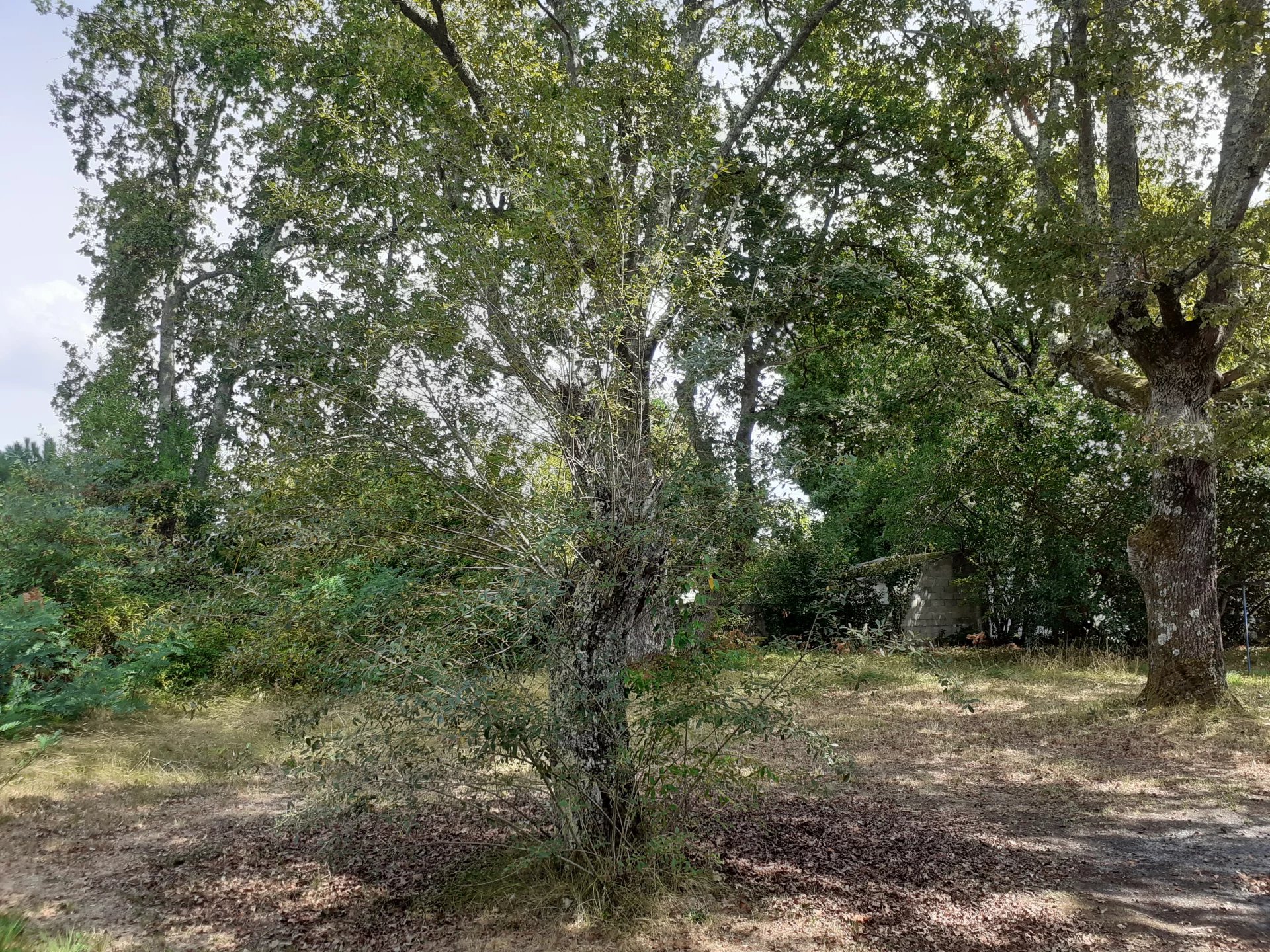 Andernos-les-Bains, New Aquitaine, 33510, FR, ,Land,For Sale,1818385