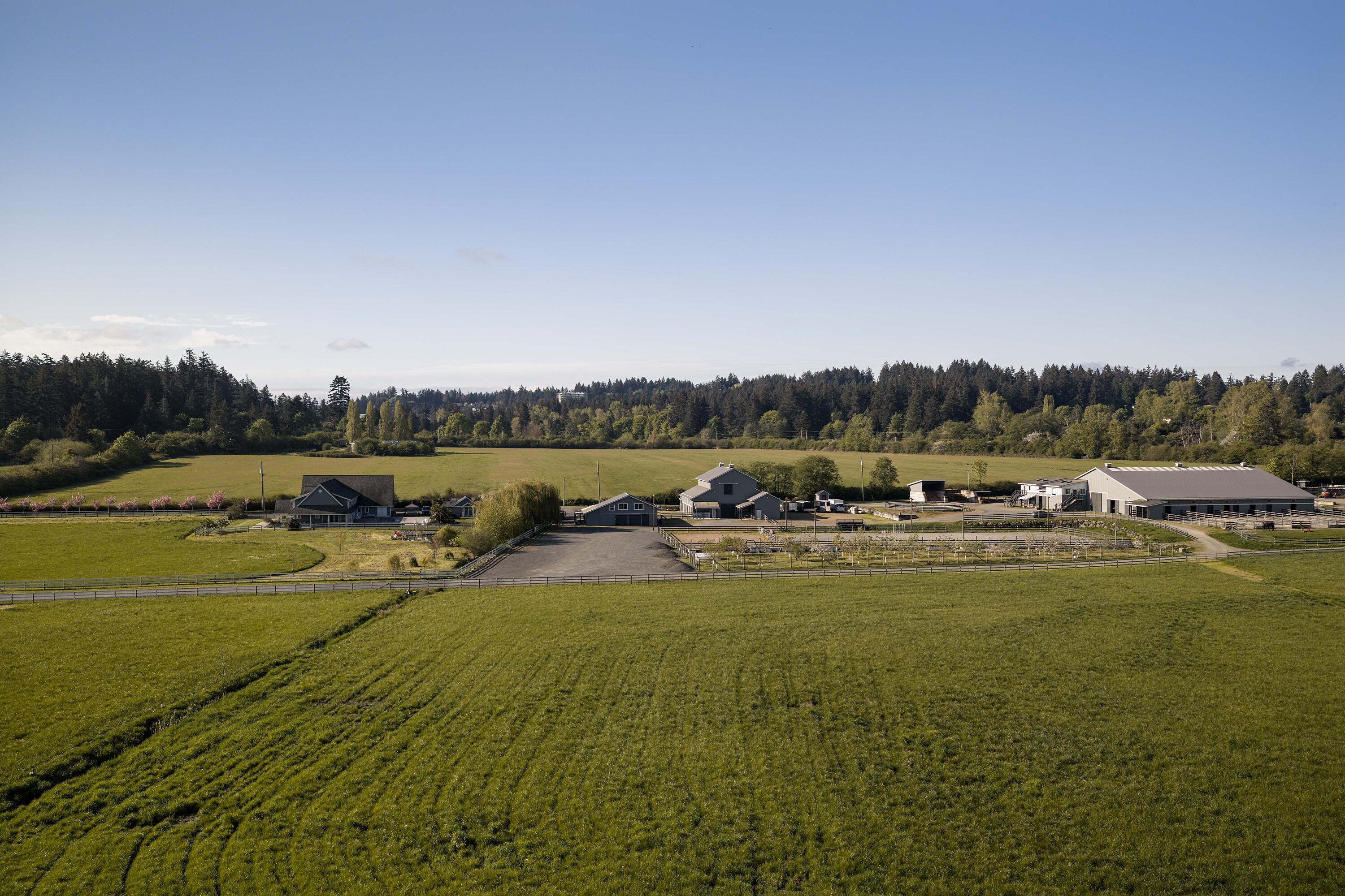  Exquisite Equestrian Estate - 物件實景
