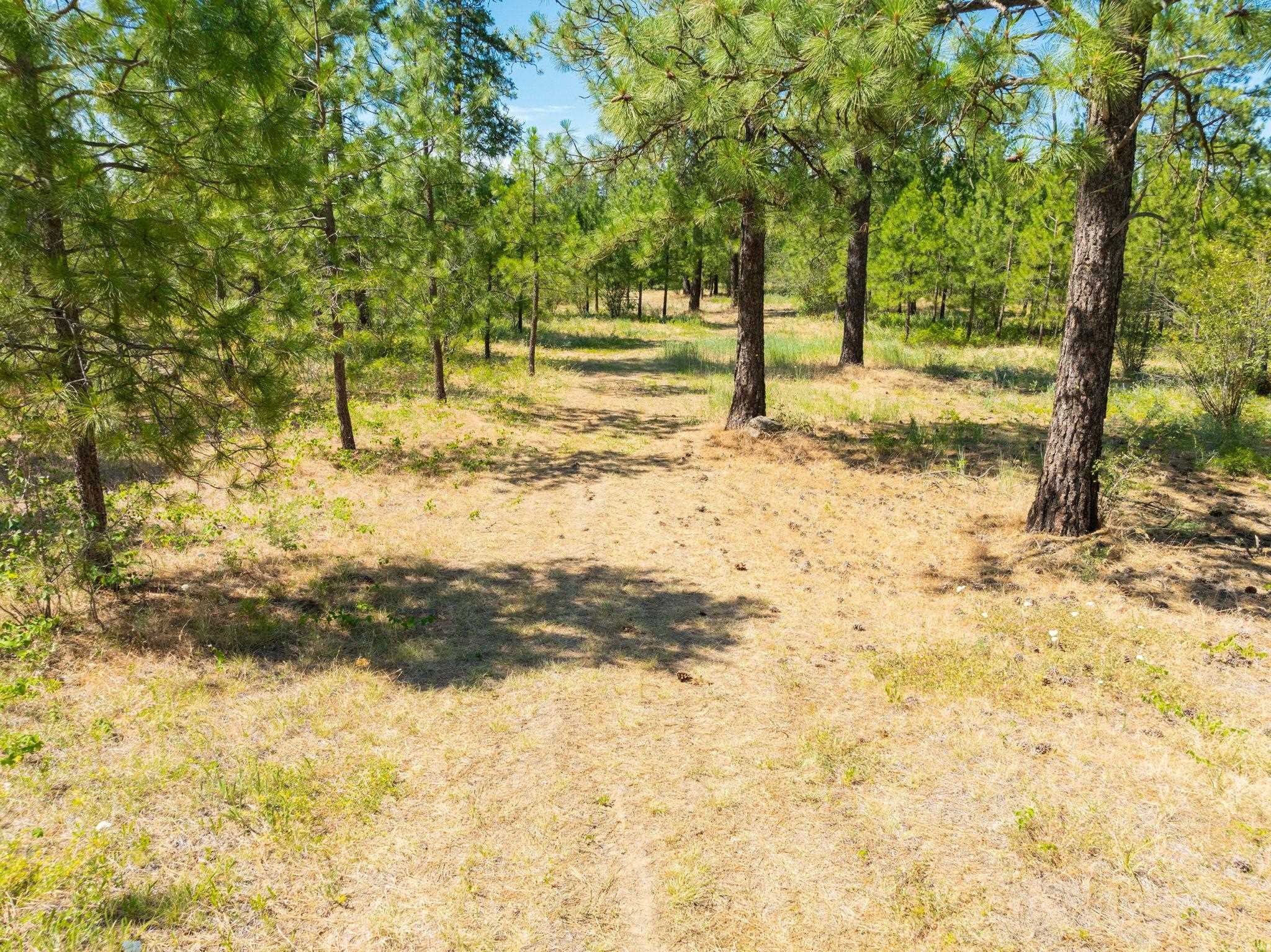 Nine Mile Falls, Washington, 99026, United States, ,Land,For Sale,1960887