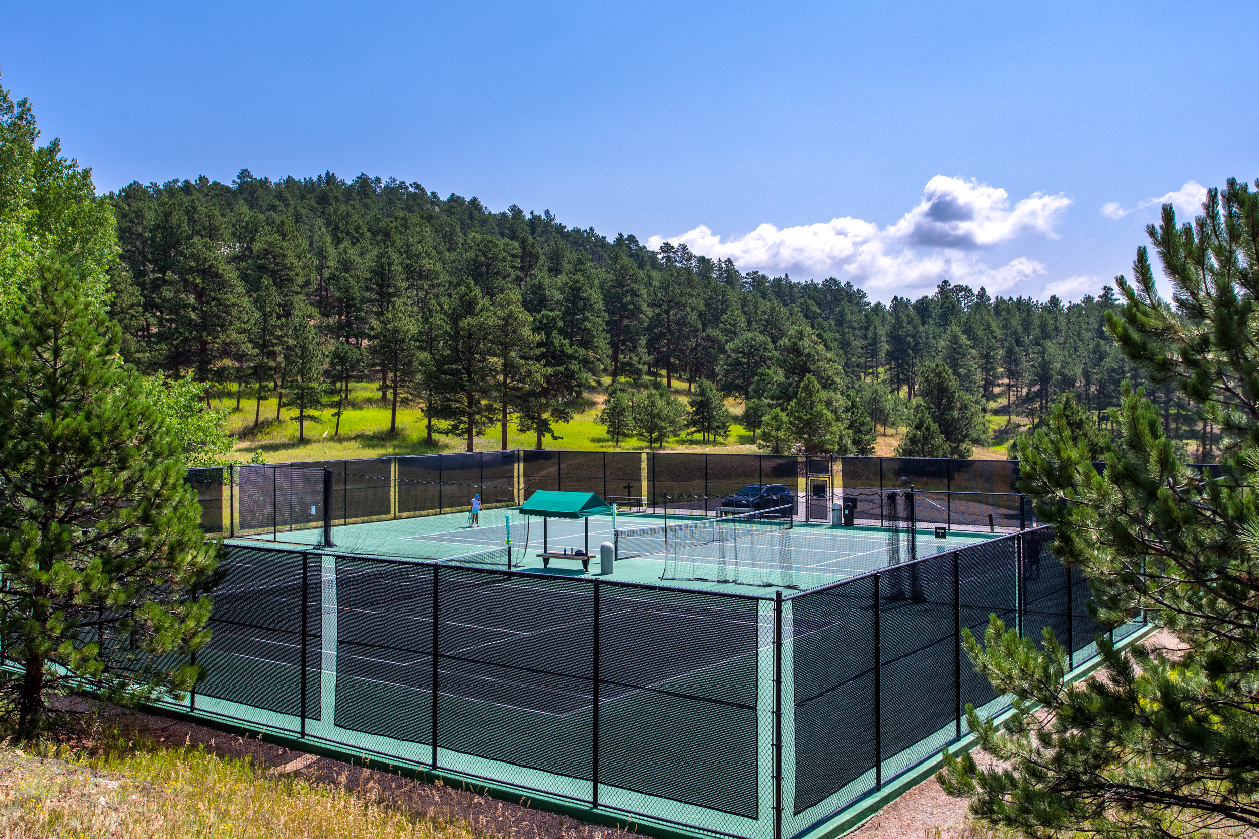  Thoughtfully Updated Throughout - 物件實景